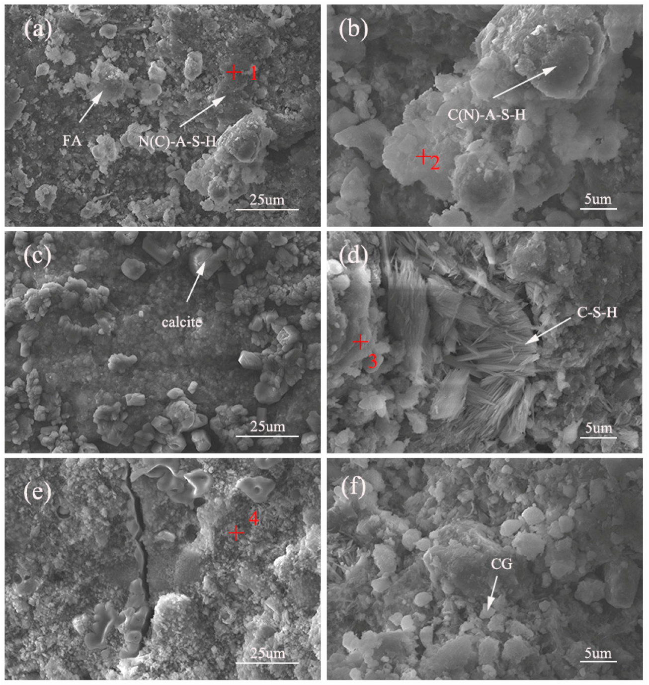 Polymers | Free Full-Text | Investigation on the Effect of Calcium on ...