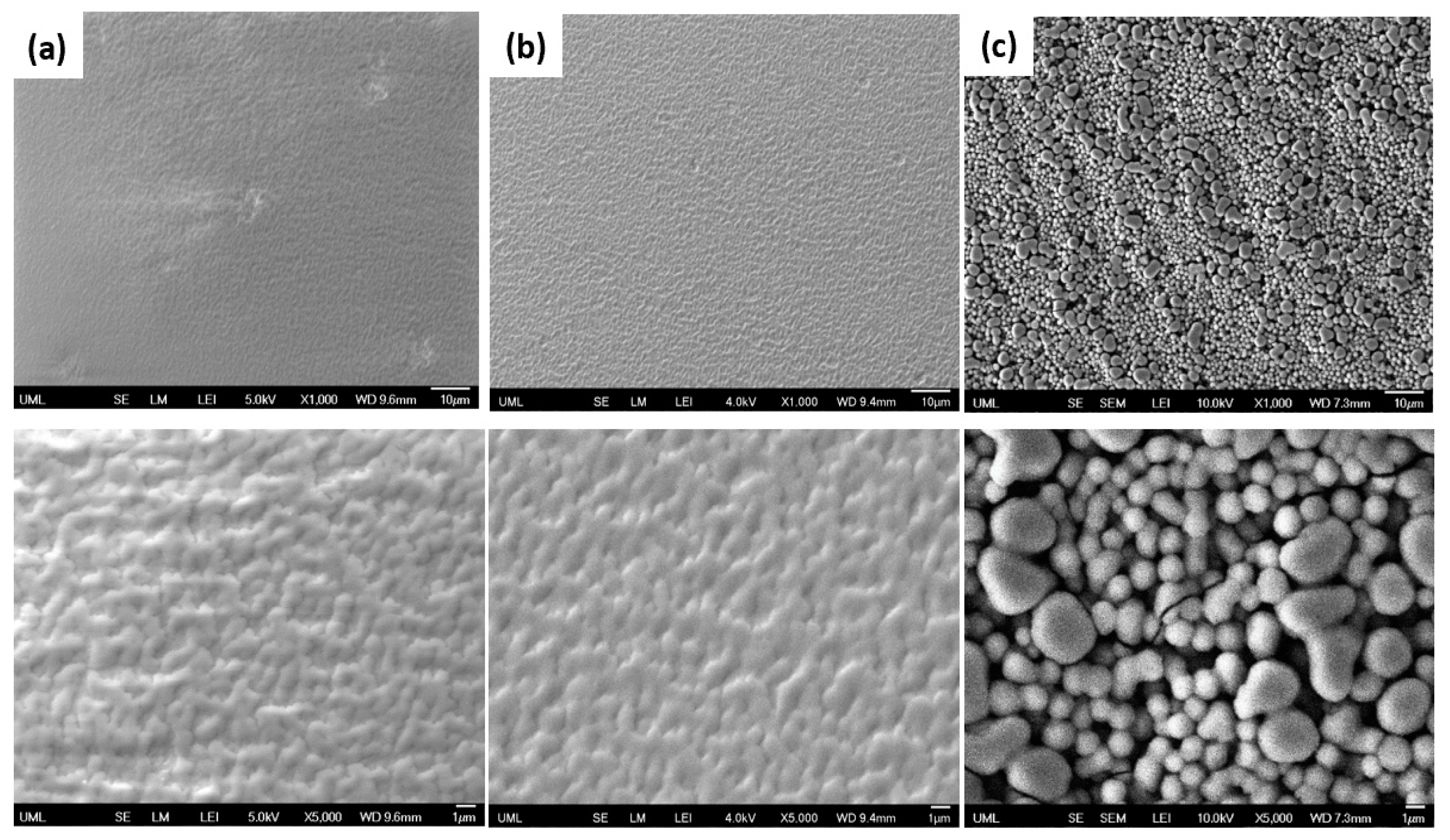 Polymers 15 01242 g006