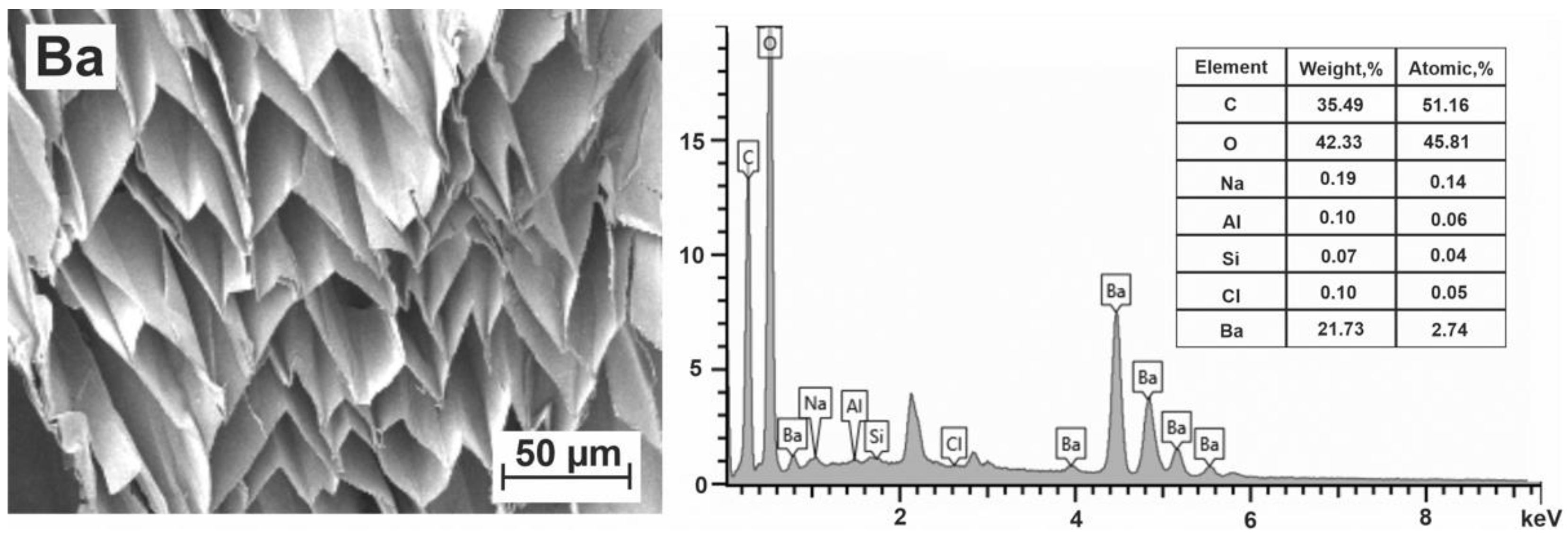 Polymers 15 01243 g003 Polymers 15 01243 g003