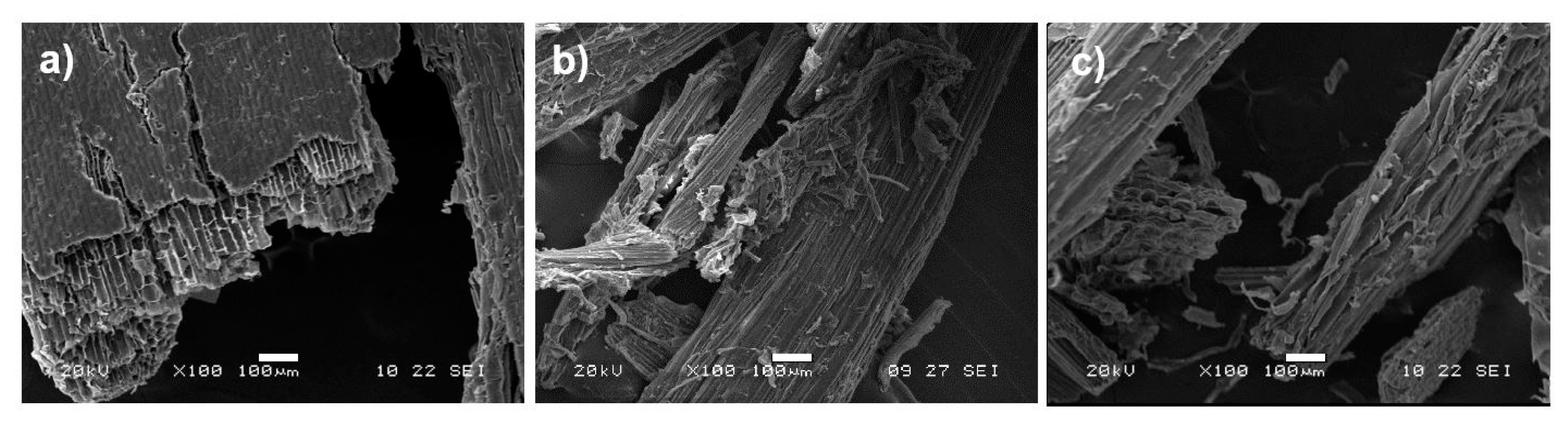 Polymers 15 01251 g004