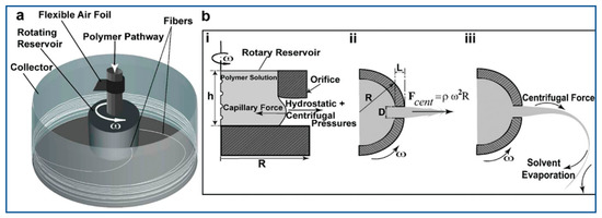 Polymers | Free Full-Text | Recent Advances in Centrifugal Spinning and  Their Applications in Tissue Engineering