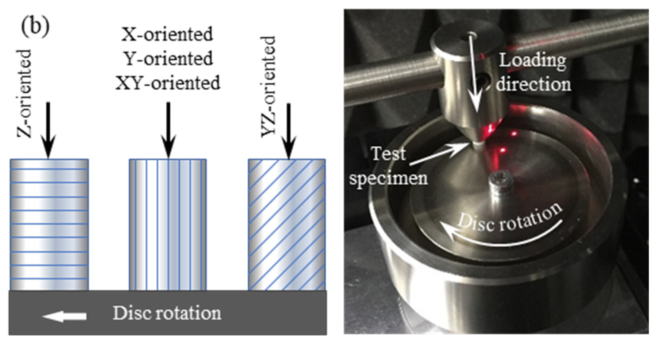Polymers 15 01268 g002b Polymers 15 01268 g002b