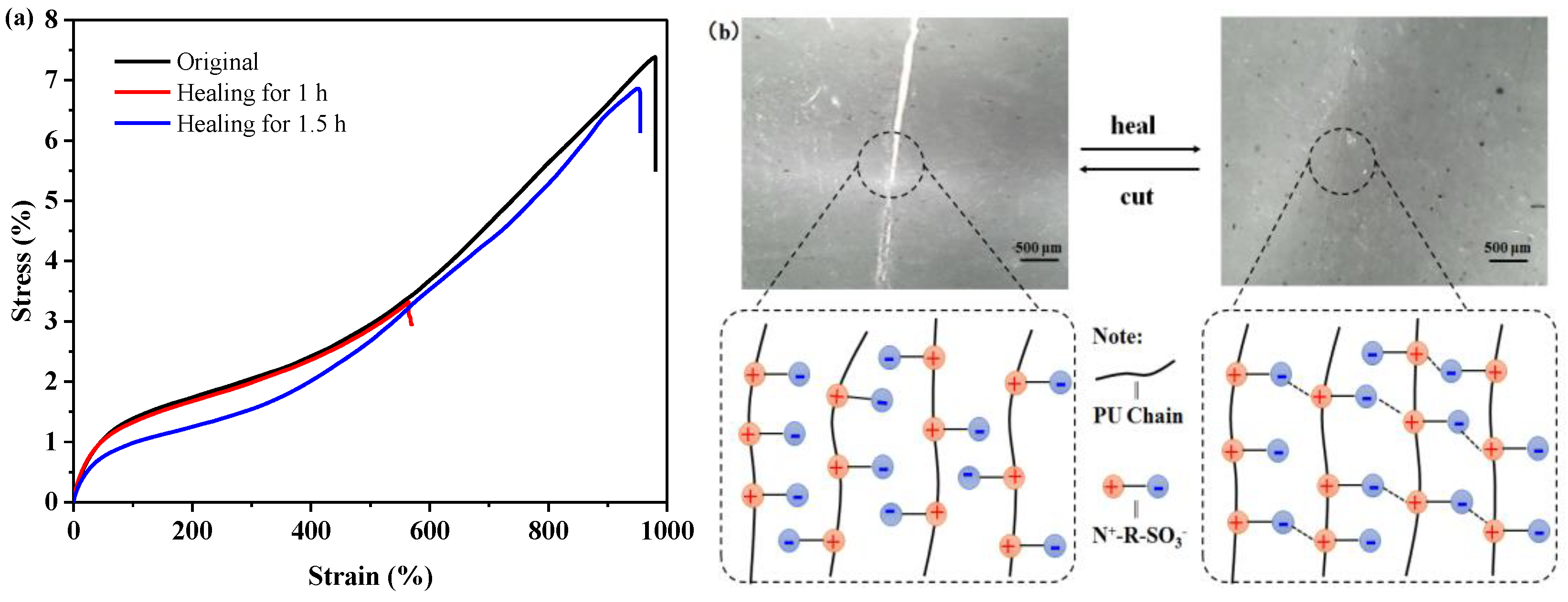 Polymers 15 01270 g007 Polymers 15 01270 g007