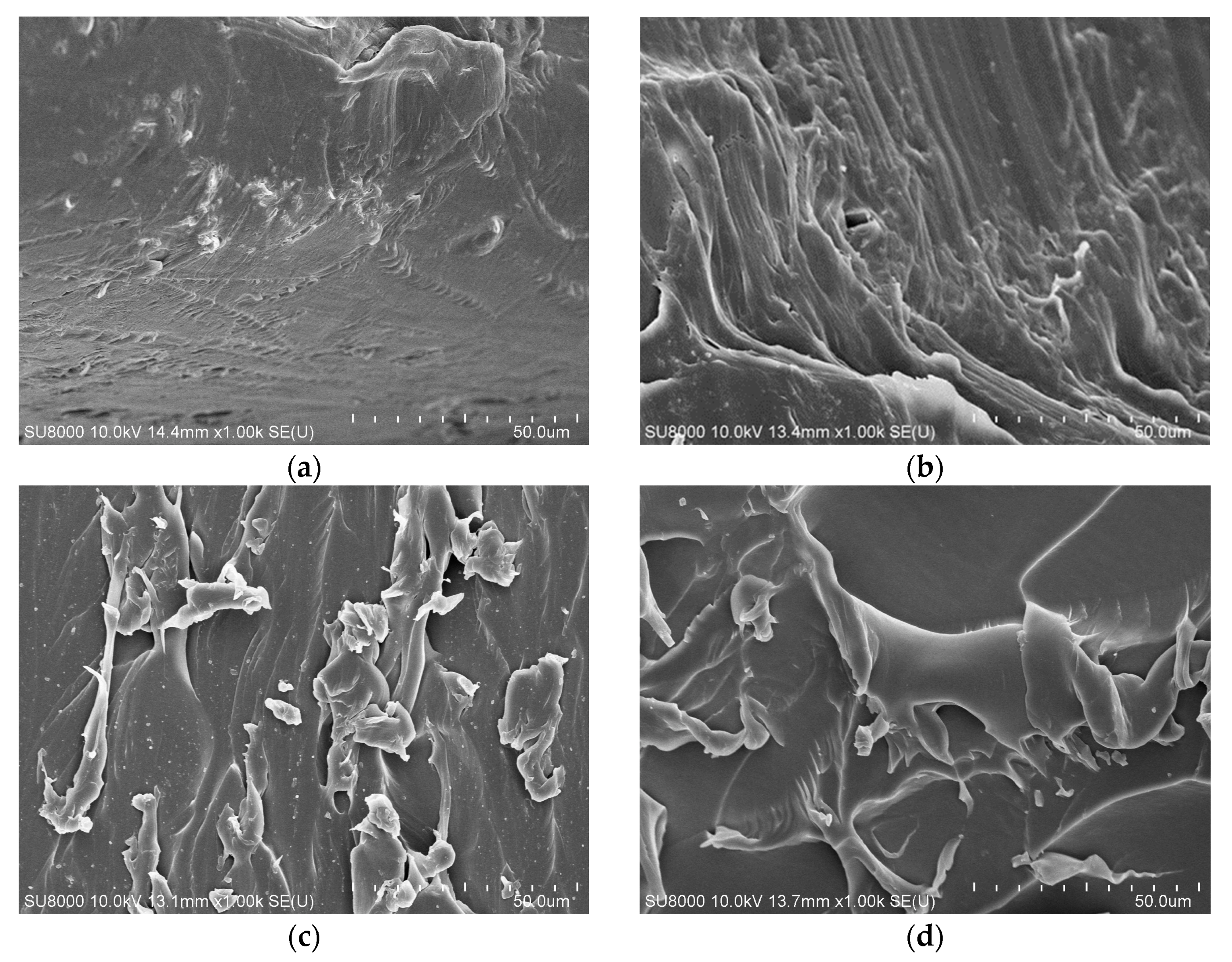Polymers 15 01272 g005