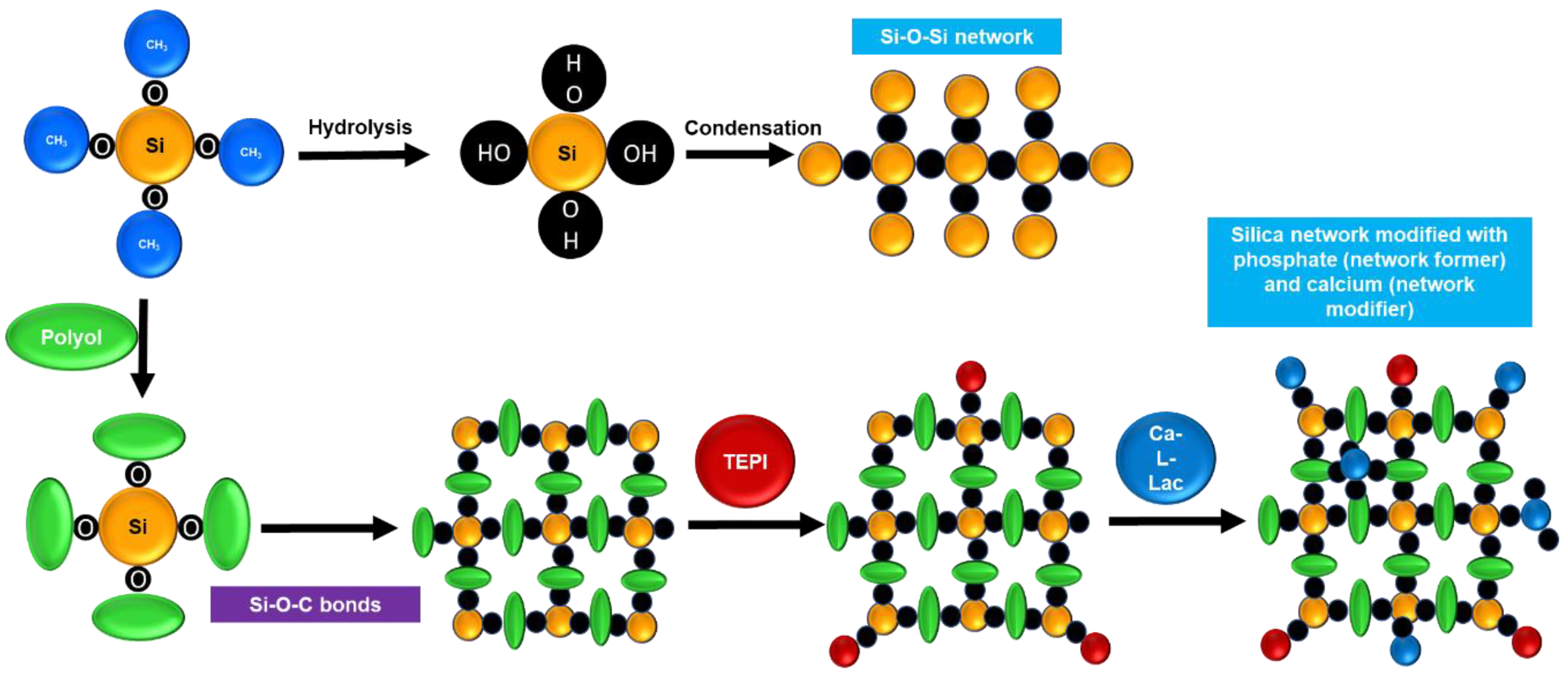 Polymers 15 01273 g001 Polymers 15 01273 g001