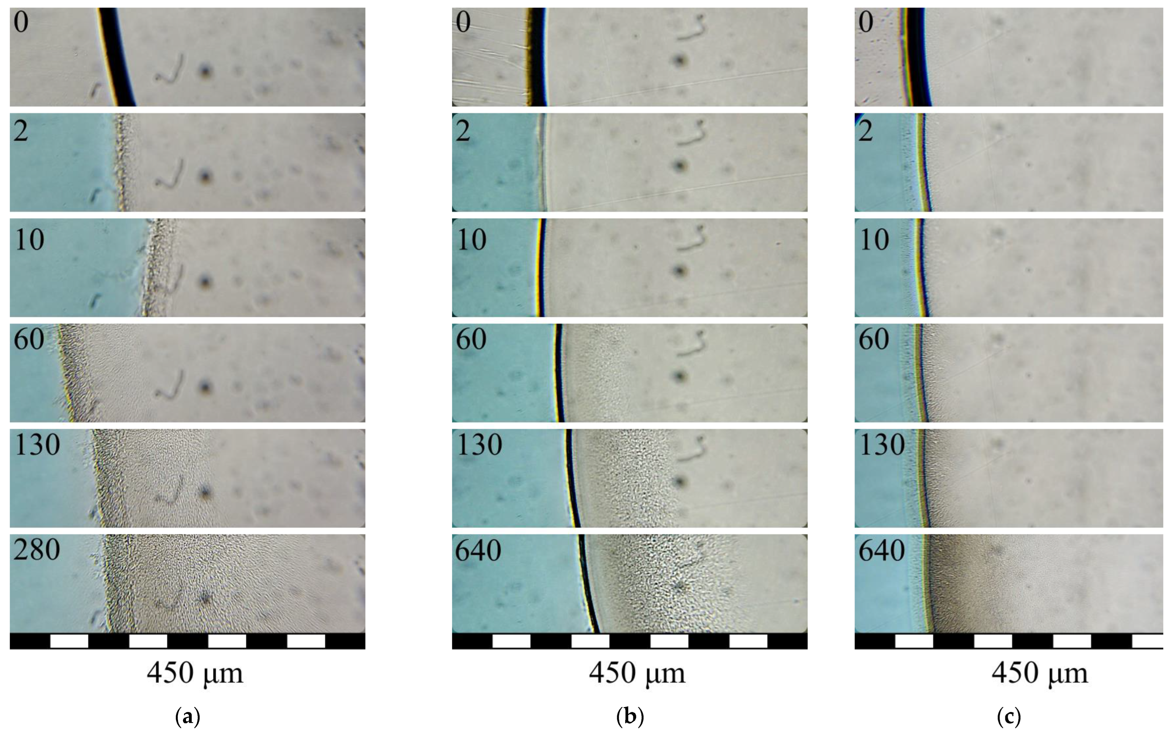 Polymers 15 01281 g006