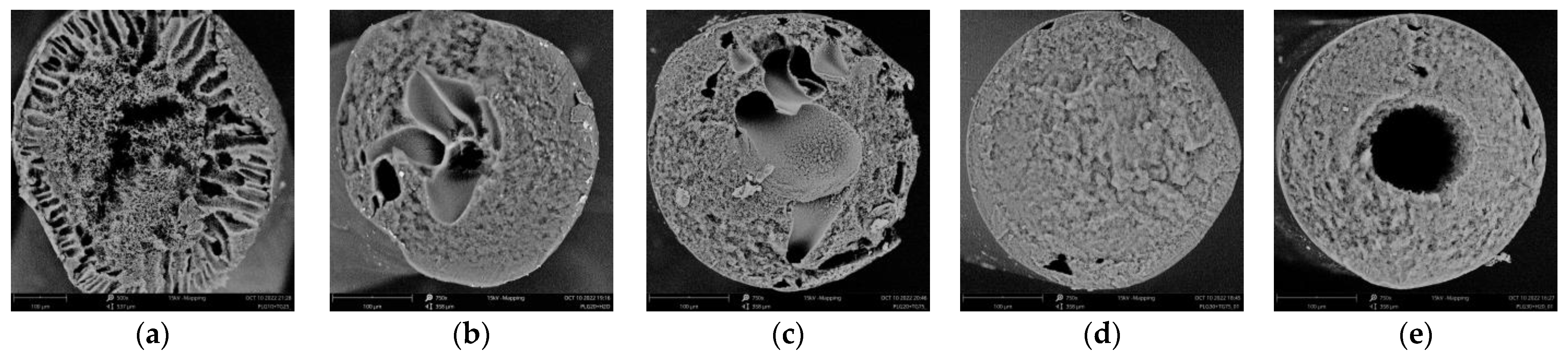 Polymers 15 01281 g008