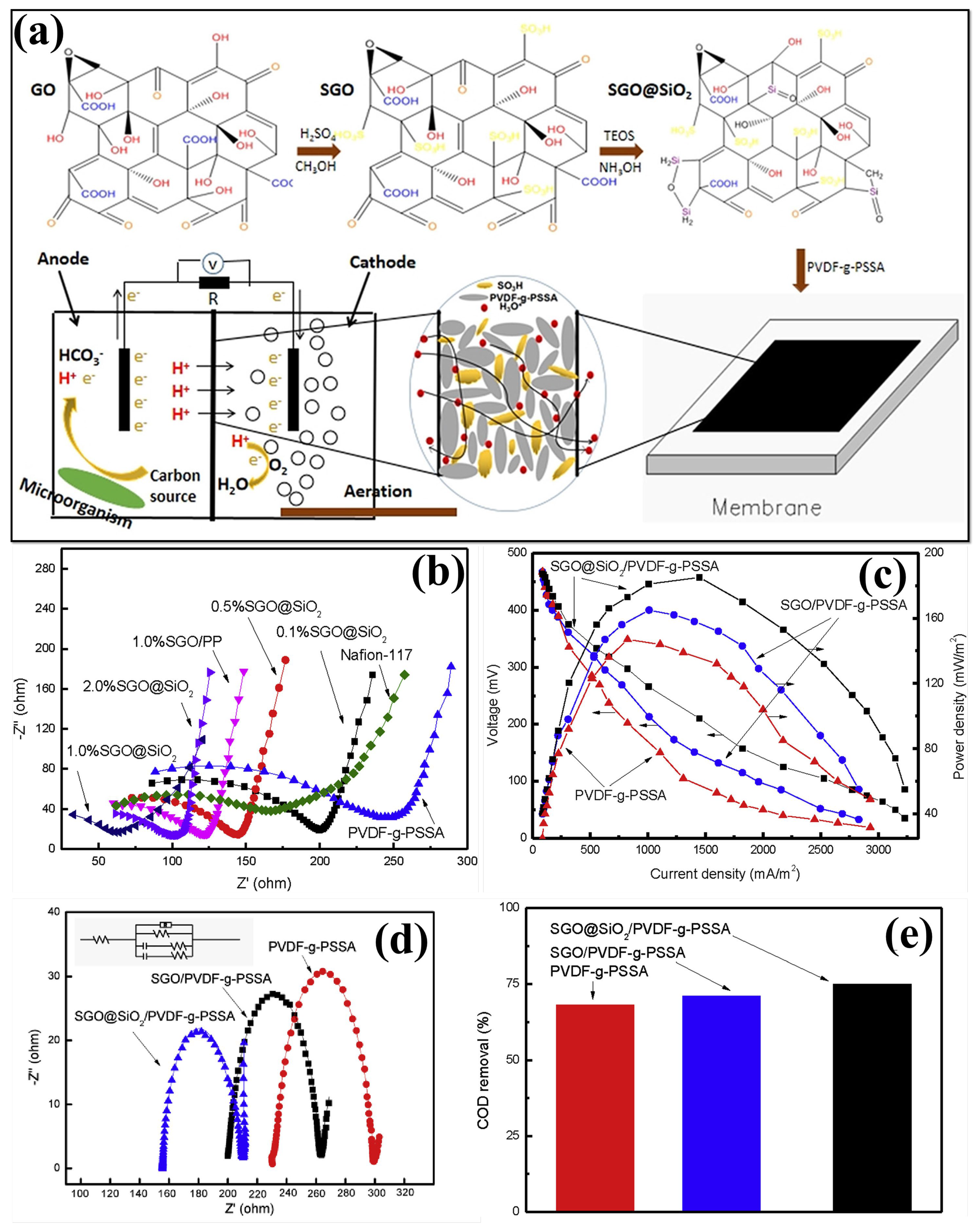 Polymers 15 01294 g006