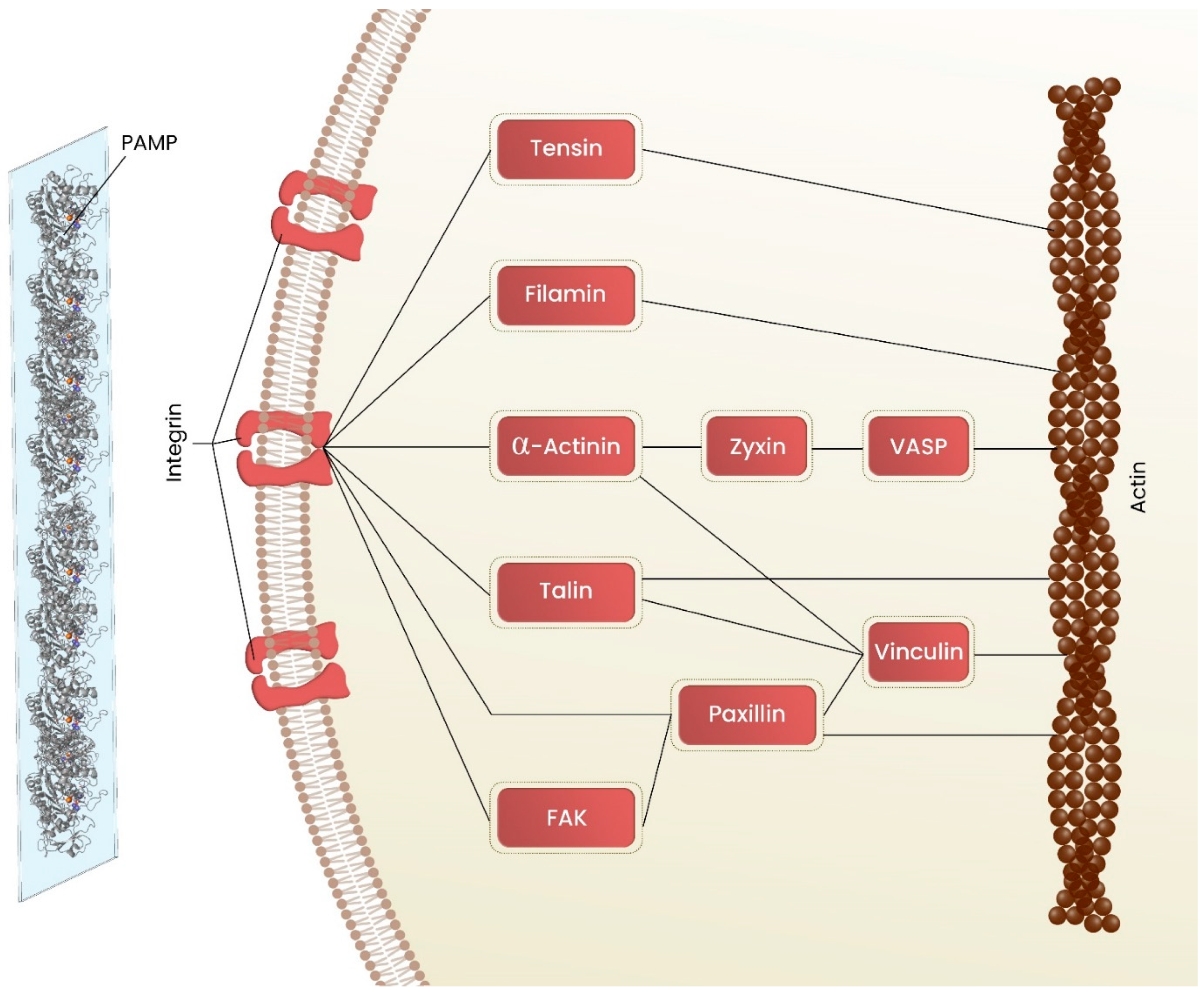 Polymers 15 01313 g003