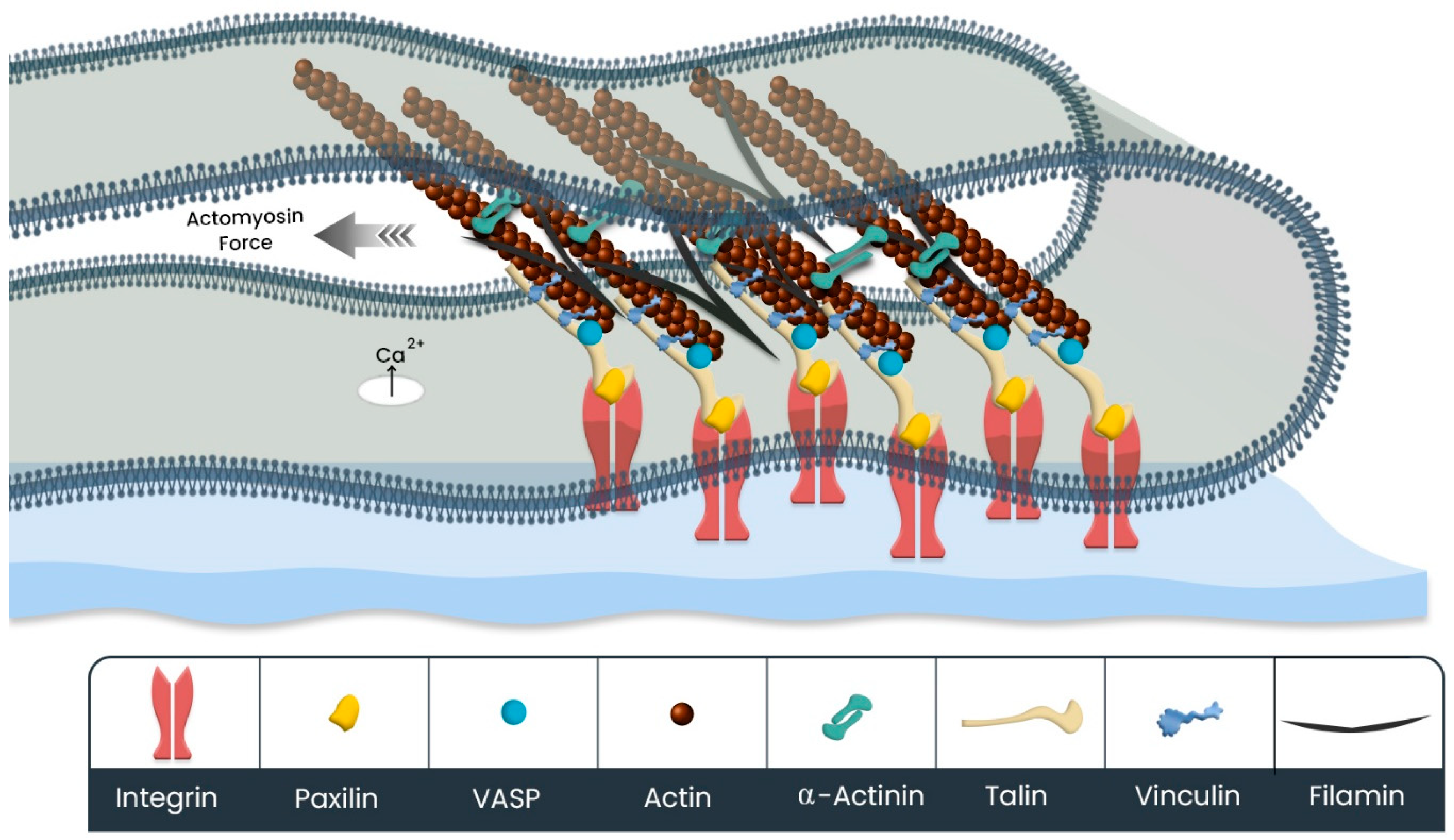Polymers 15 01313 g004