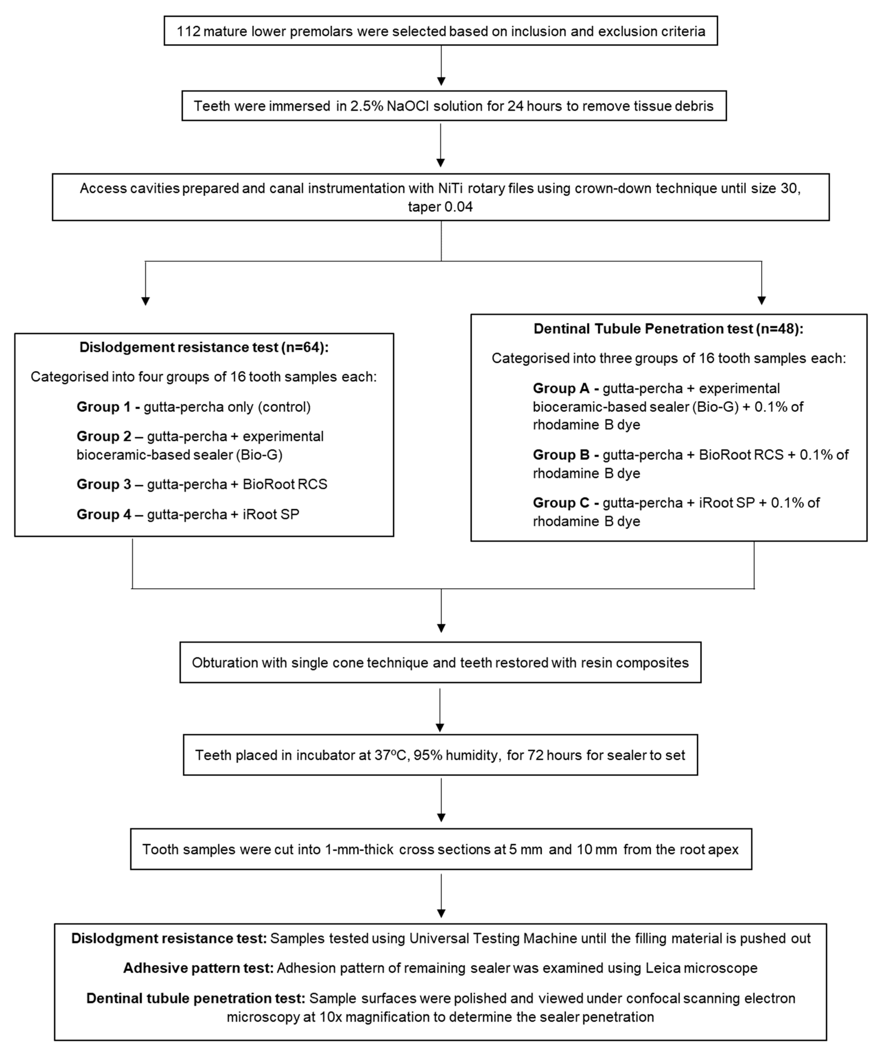 Polymers 15 01317 g001 Polymers 15 01317 g001