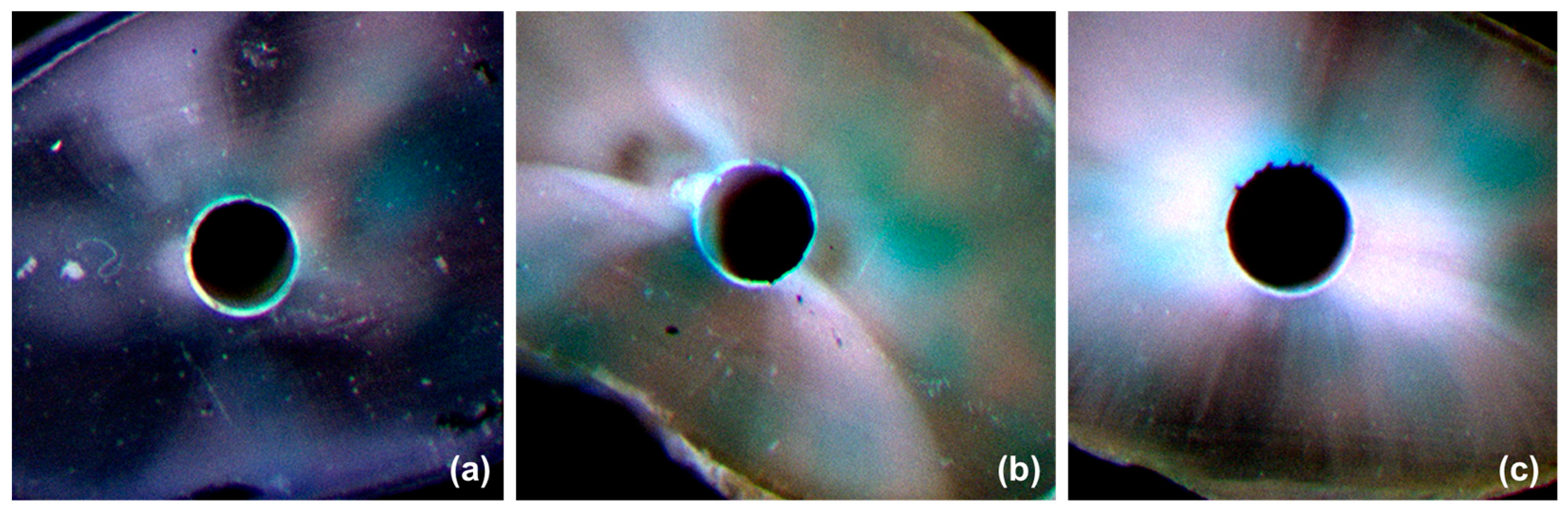 Polymers 15 01317 g003 Polymers 15 01317 g003