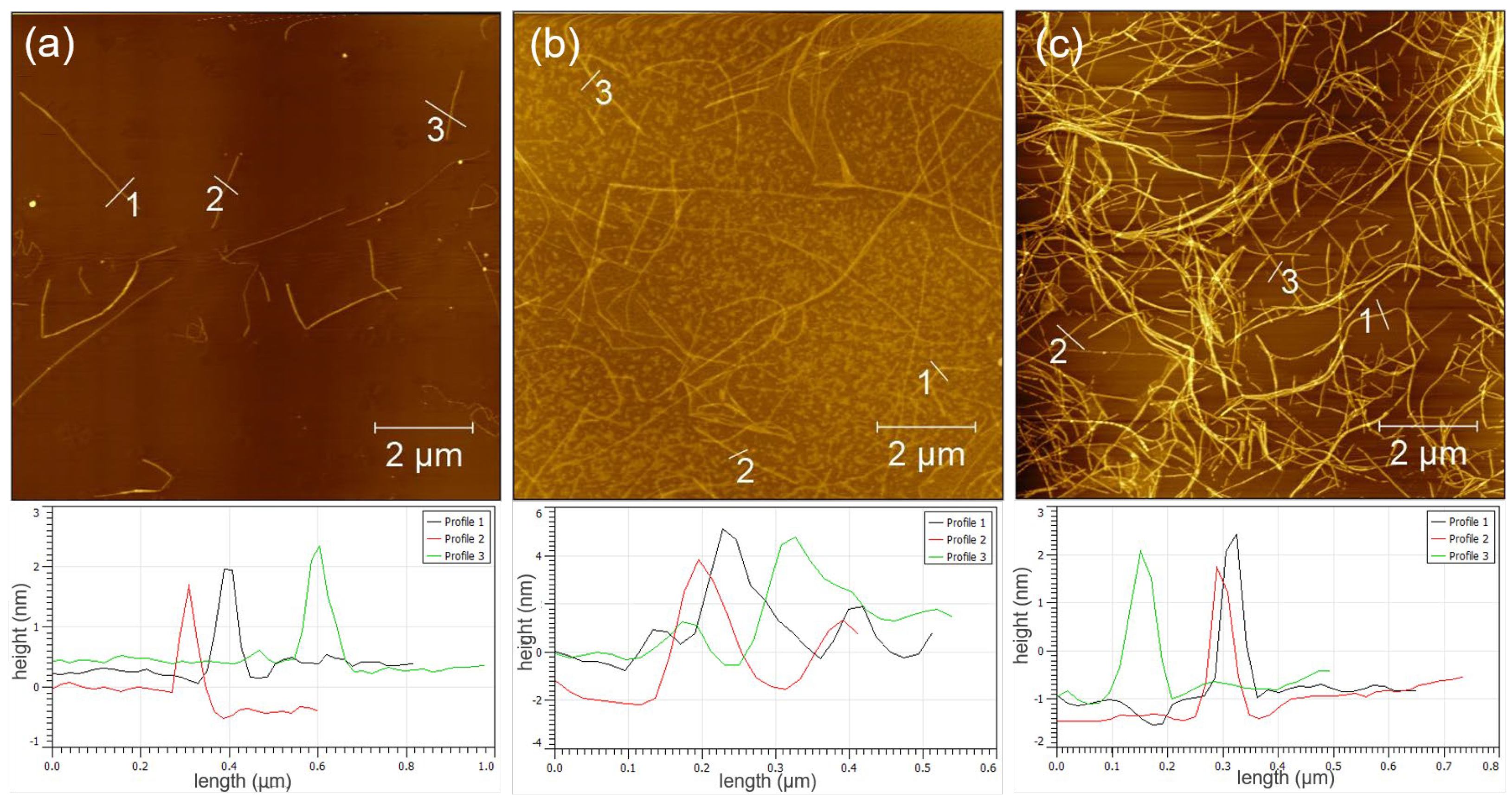 Polymers 15 01321 g001