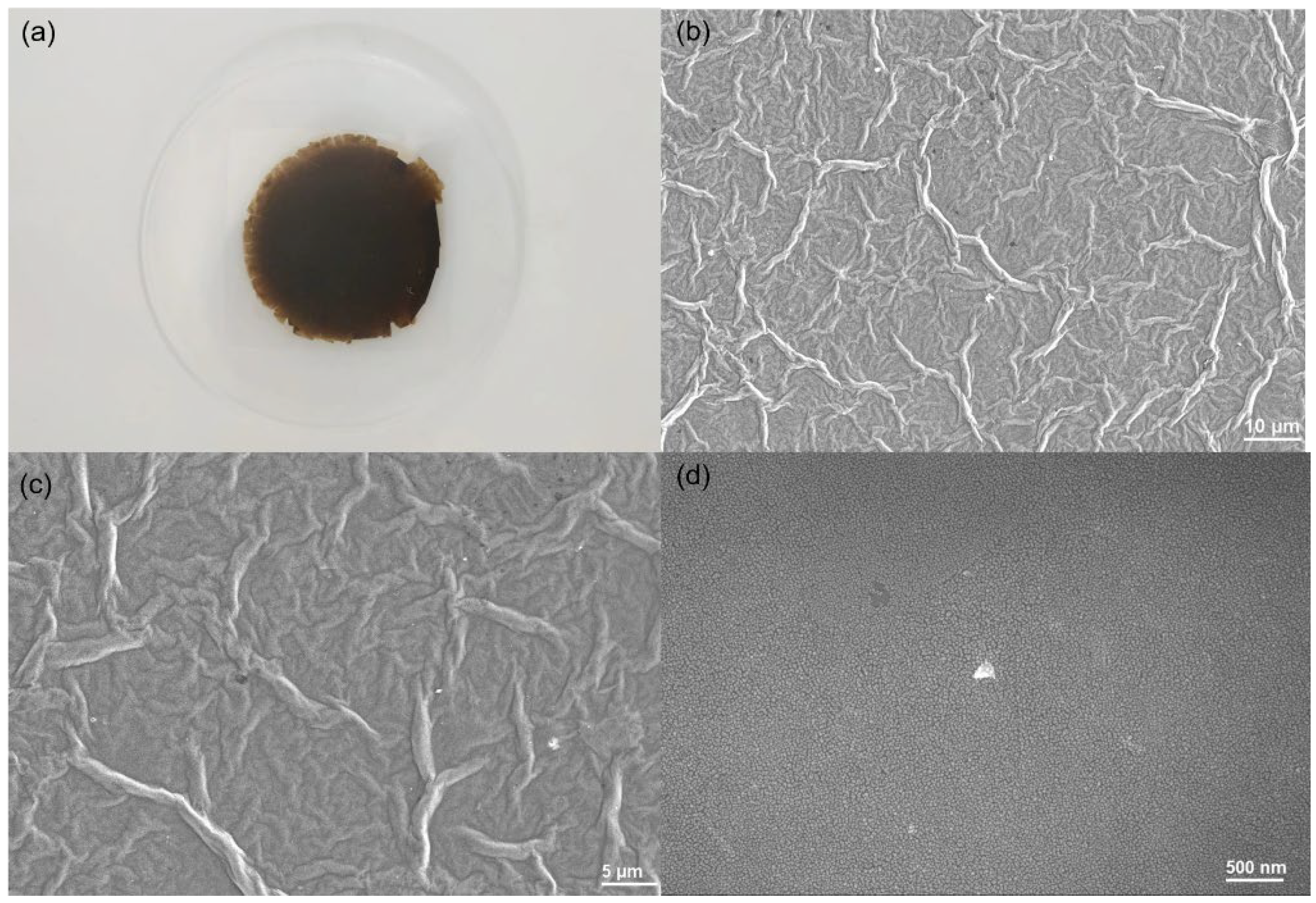 Polymers 15 01321 g003