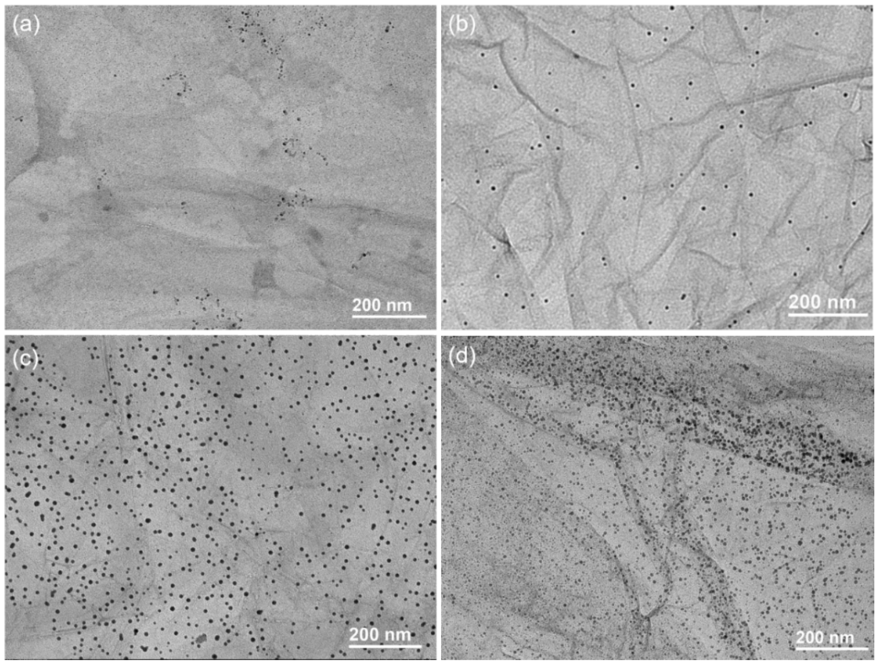 Polymers 15 01321 g005