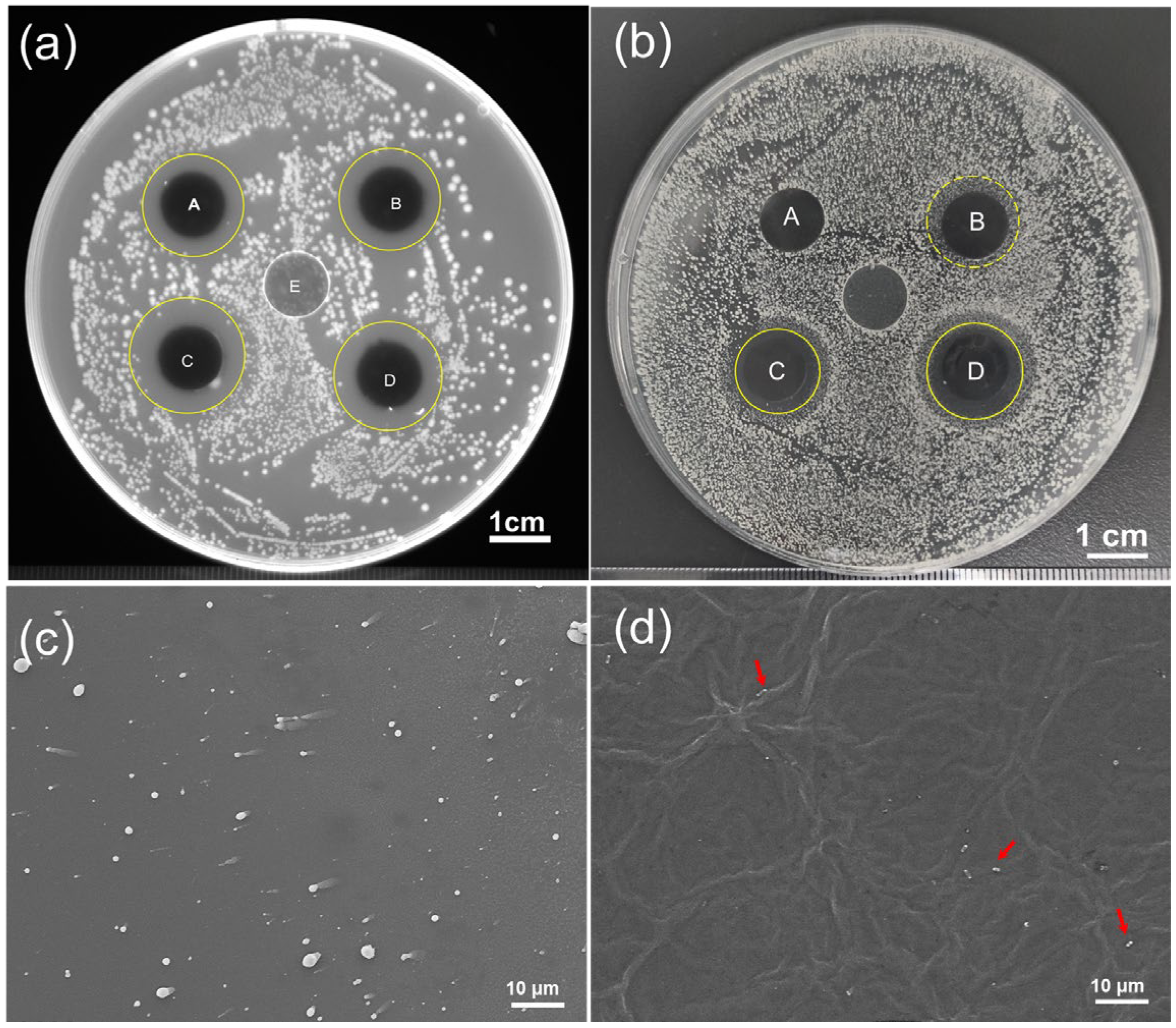 Polymers 15 01321 g006