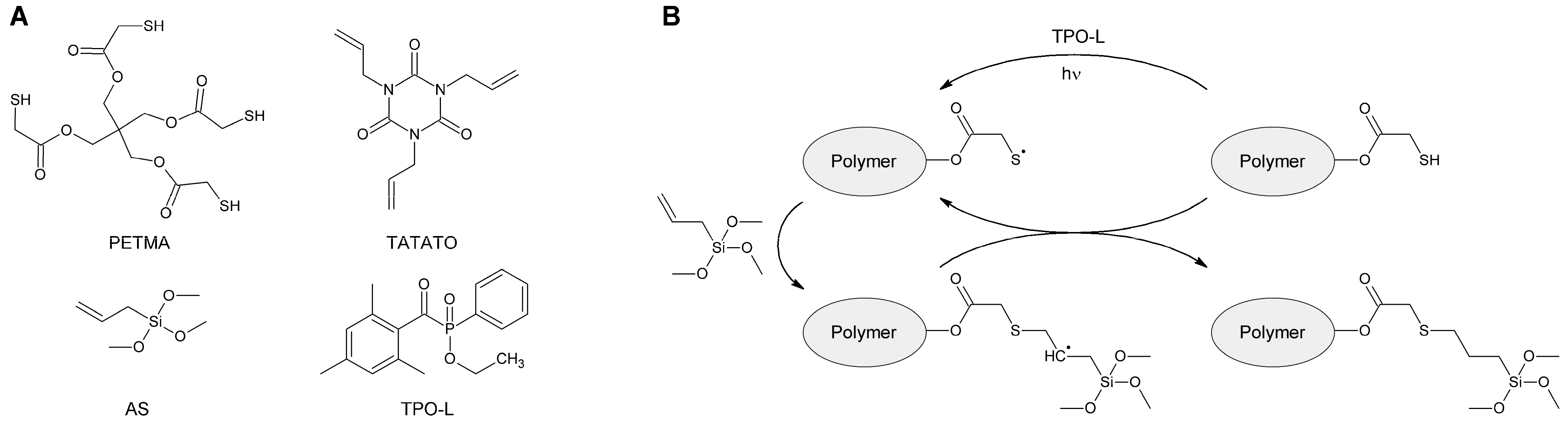 Polymers 15 01329 g002 Polymers 15 01329 g002
