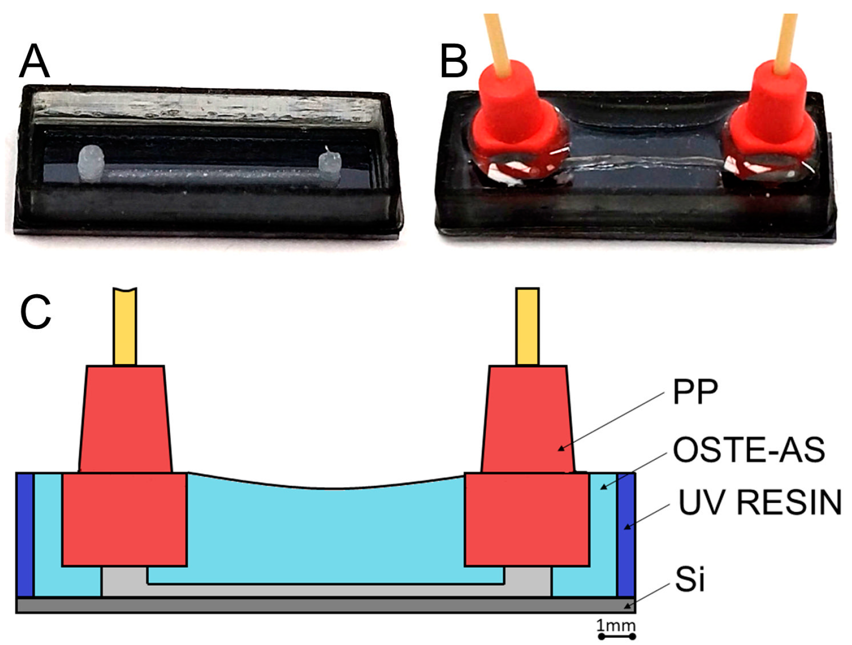 Polymers 15 01329 g008 Polymers 15 01329 g008