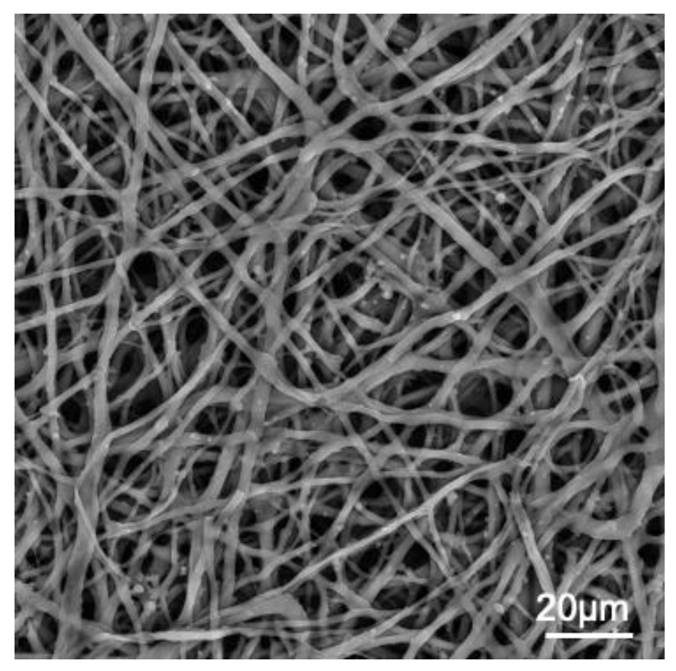 Polymers 15 01342 g001 Polymers 15 01342 g001