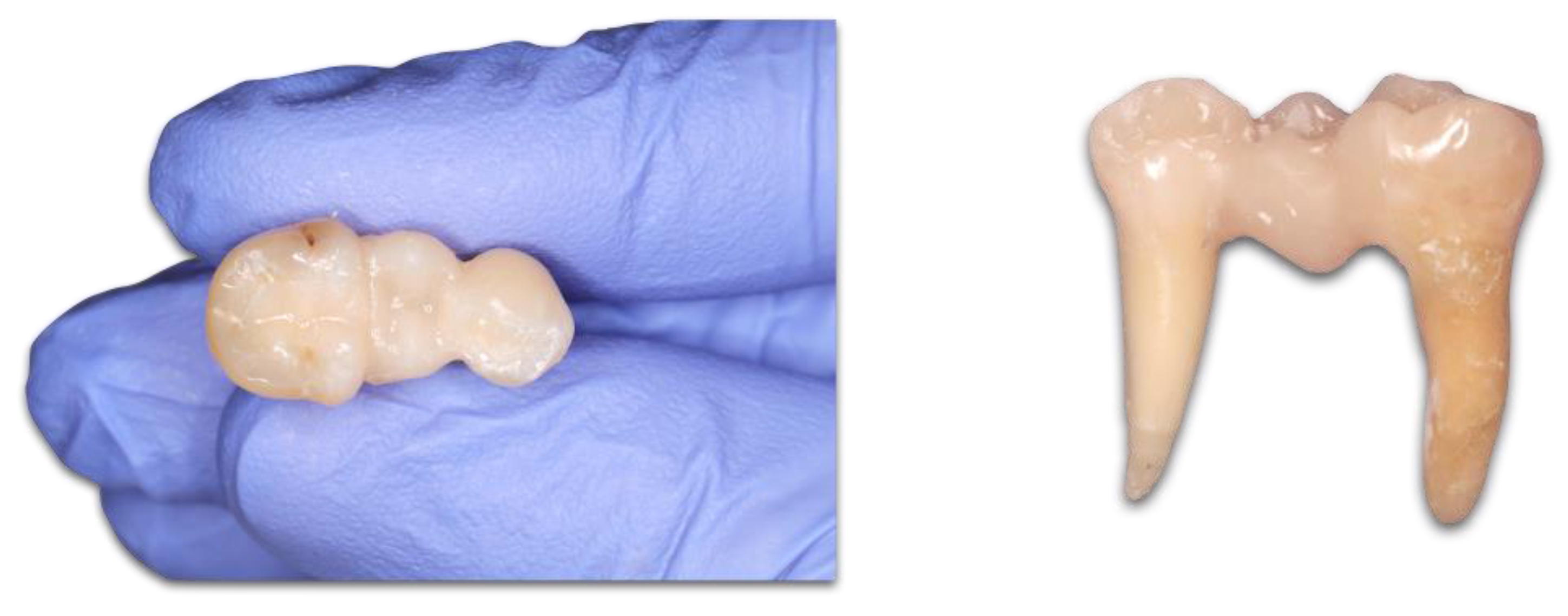 Polymers 15 01343 g002 Polymers 15 01343 g002