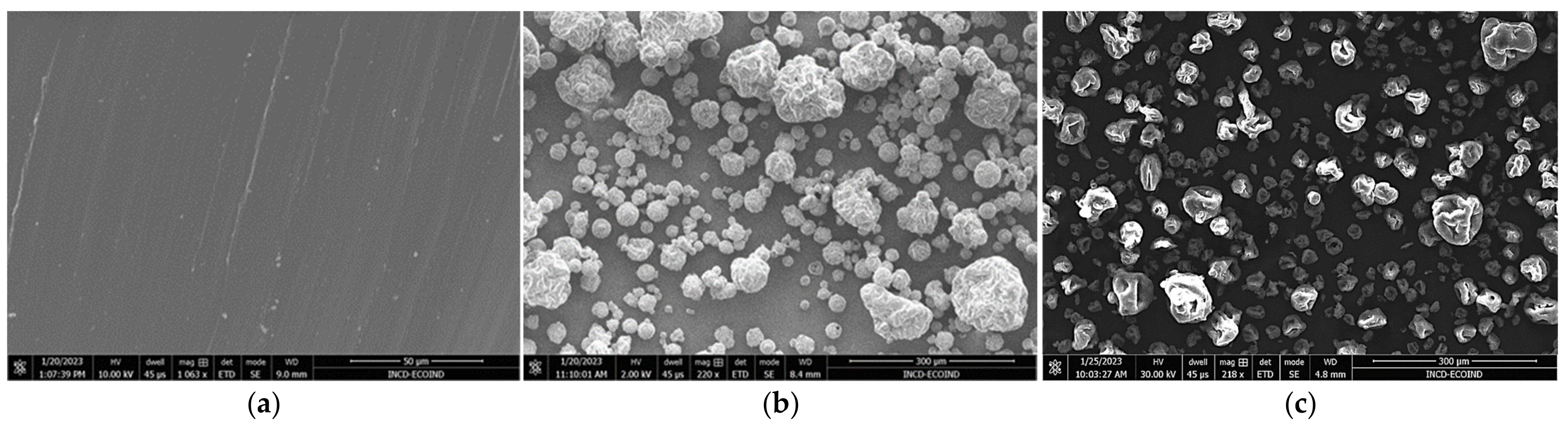 Polymers 15 01357 g003