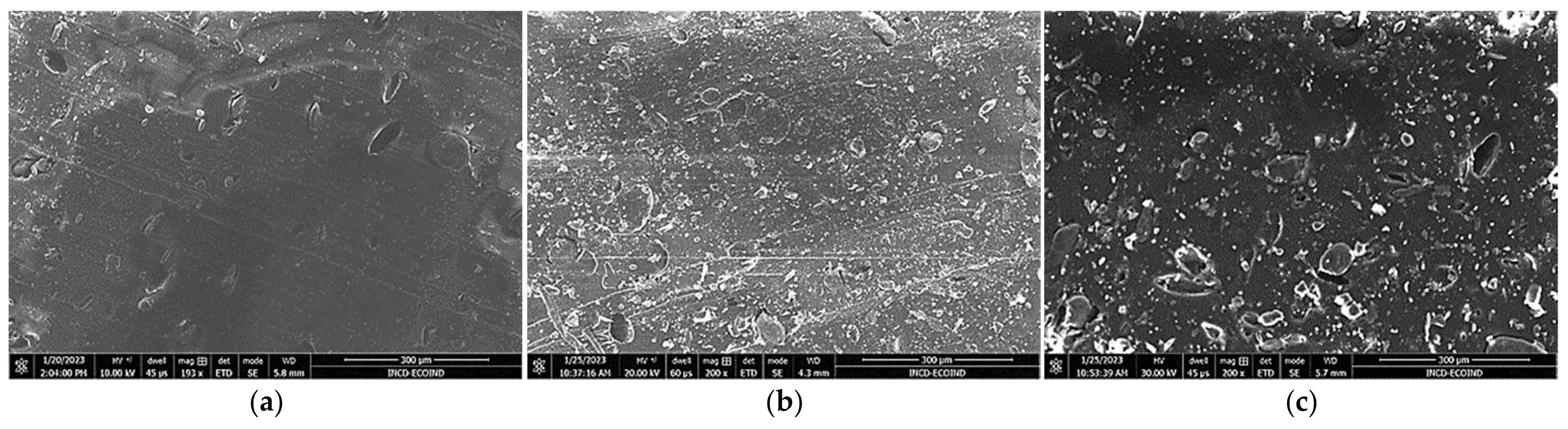 Polymers 15 01357 g004