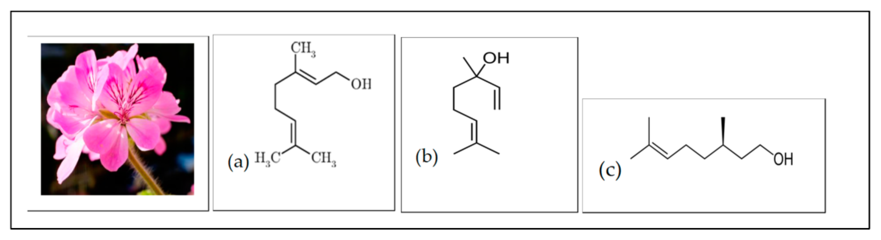 Polymers 15 01362 sch002 Polymers 15 01362 sch002