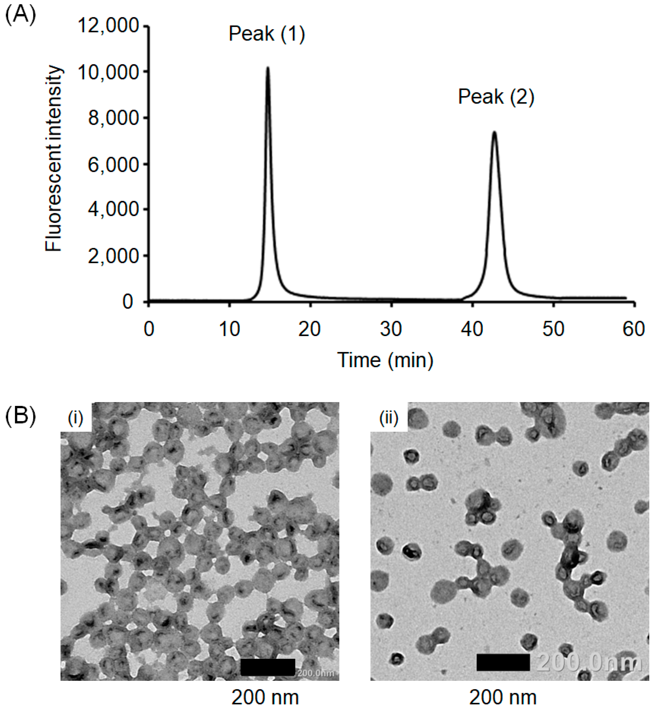 Polymers 15 01368 g001