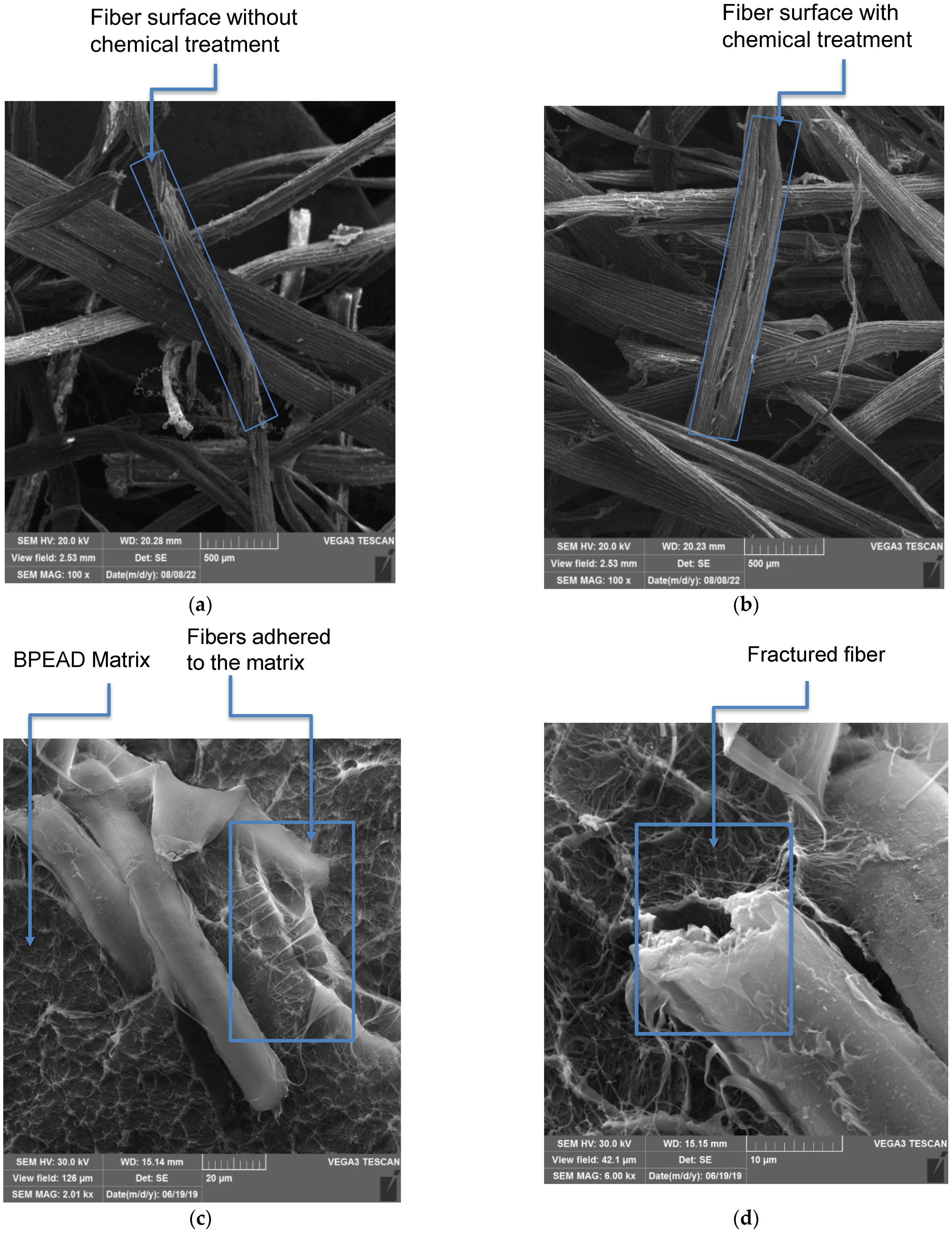Polymers 15 01369 g006