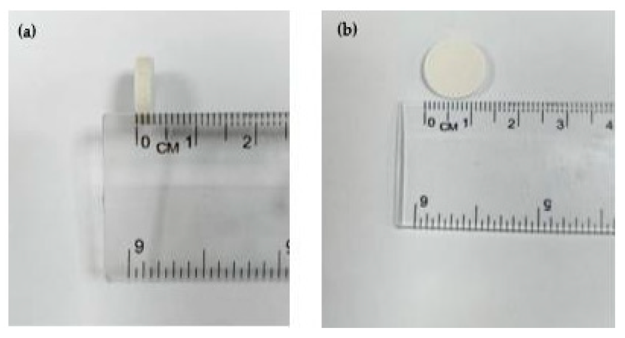 Polymers 15 01370 g001