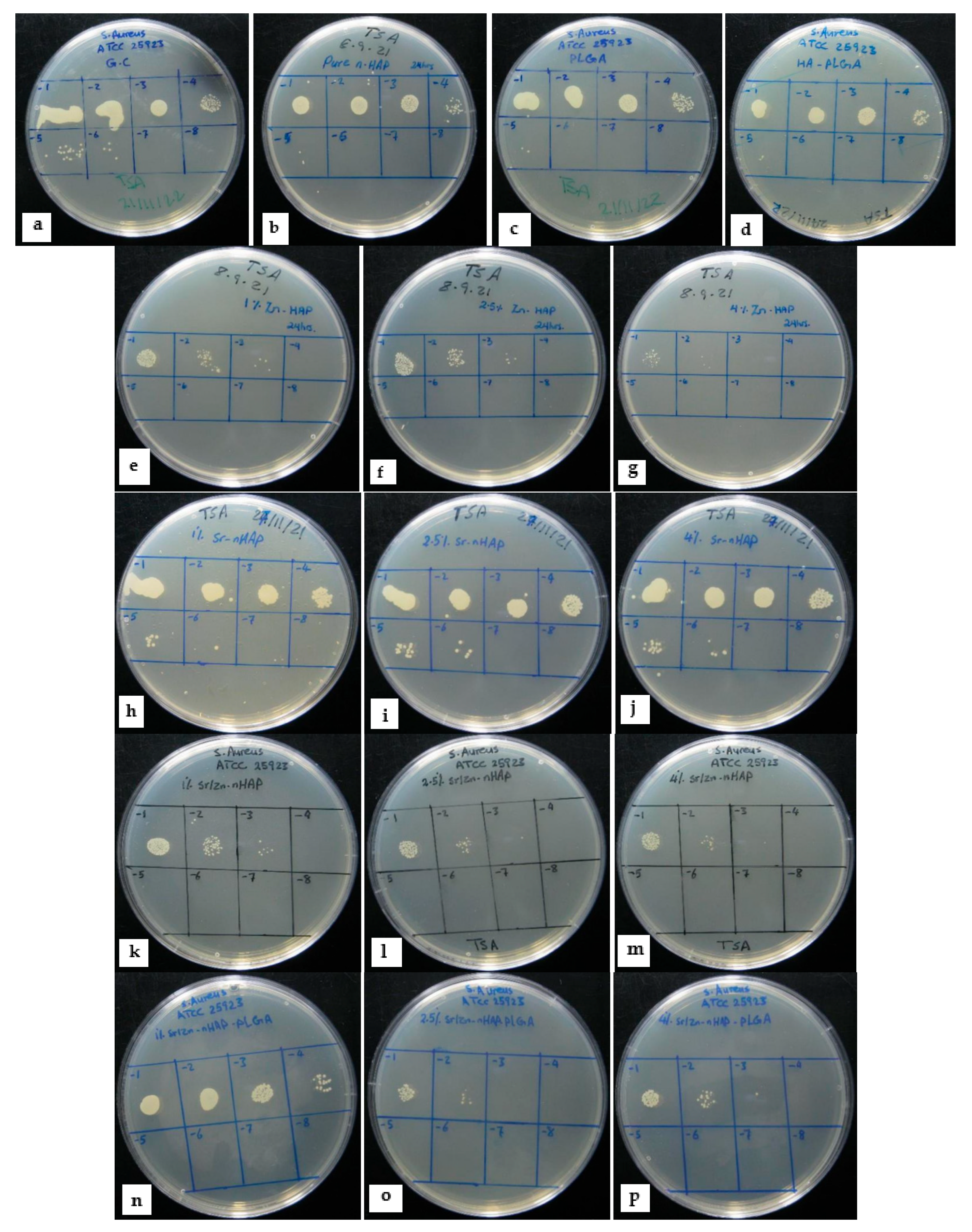 Polymers 15 01370 g003