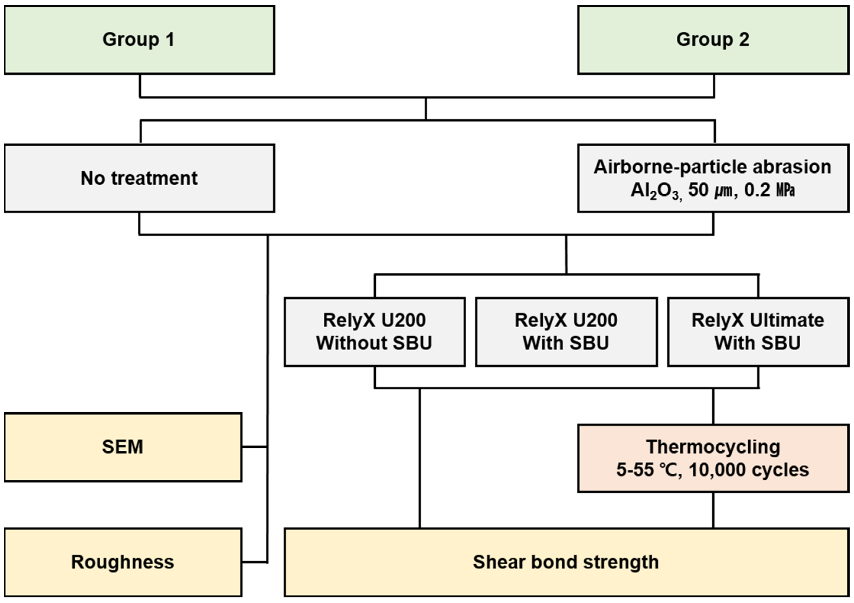 Polymers 15 01390 g001 Polymers 15 01390 g001