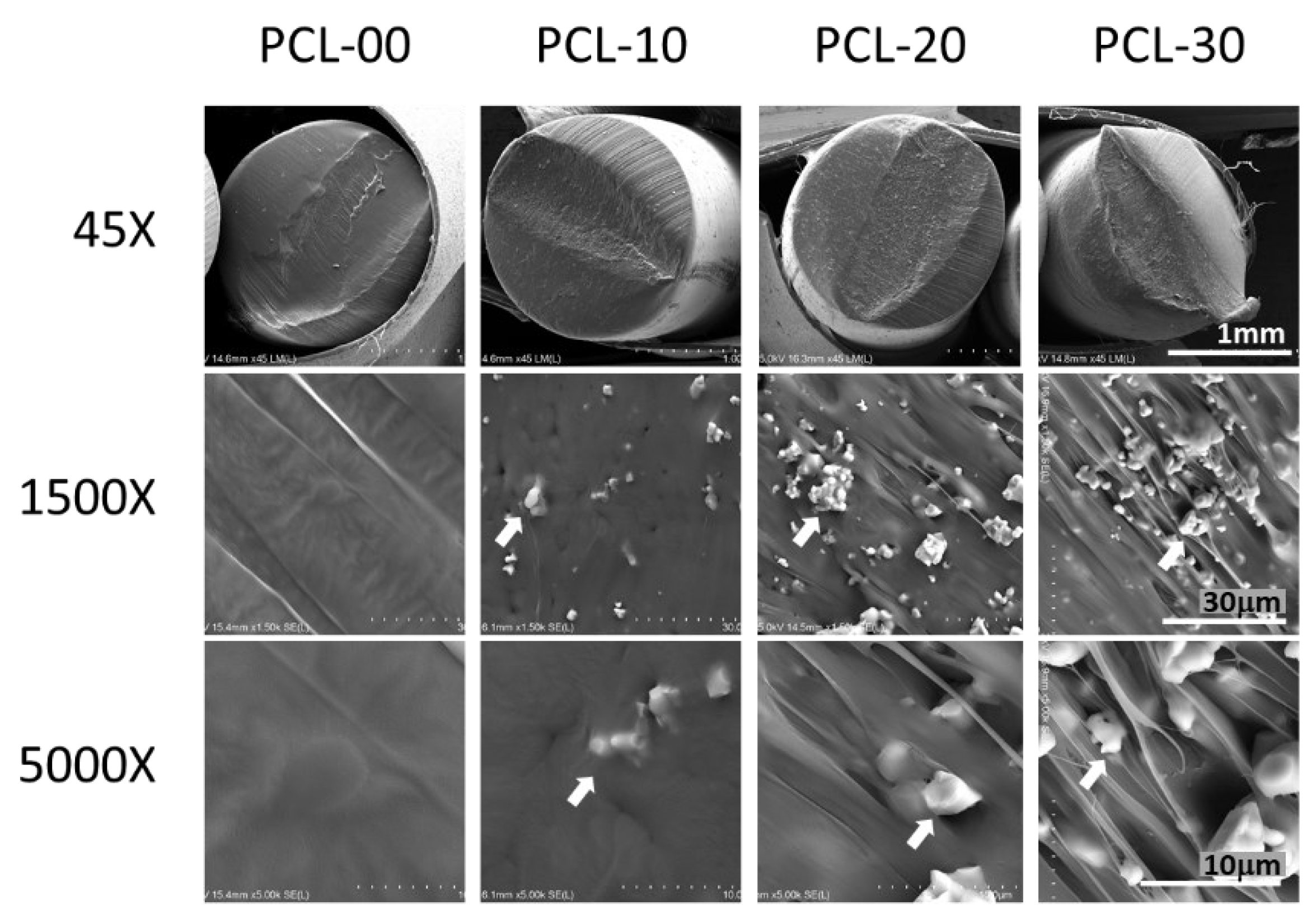 Polymers 15 01391 g002 Polymers 15 01391 g002