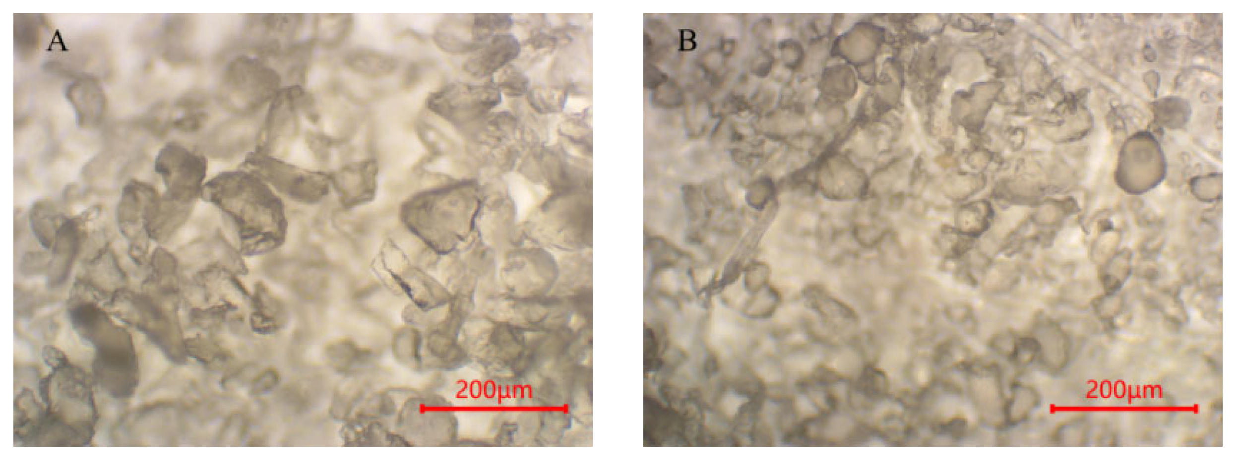 Polymers 15 01394 g008a Polymers 15 01394 g008a