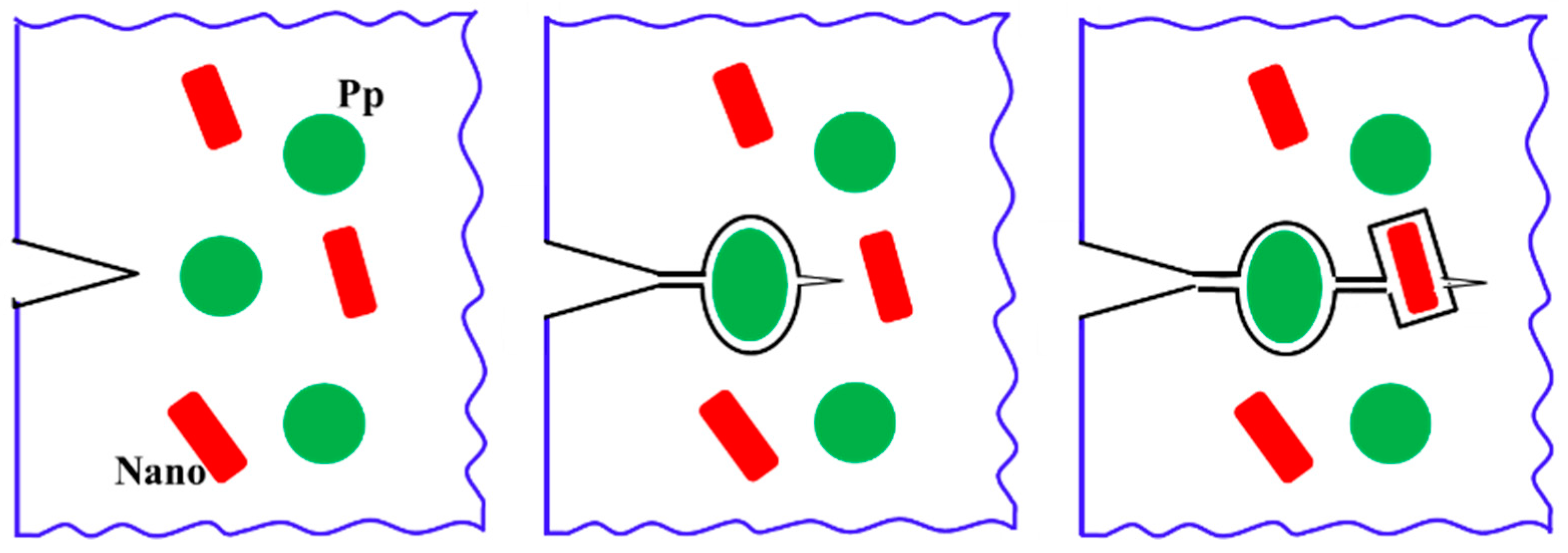 Polymers 15 01398 sch008 Polymers 15 01398 sch008