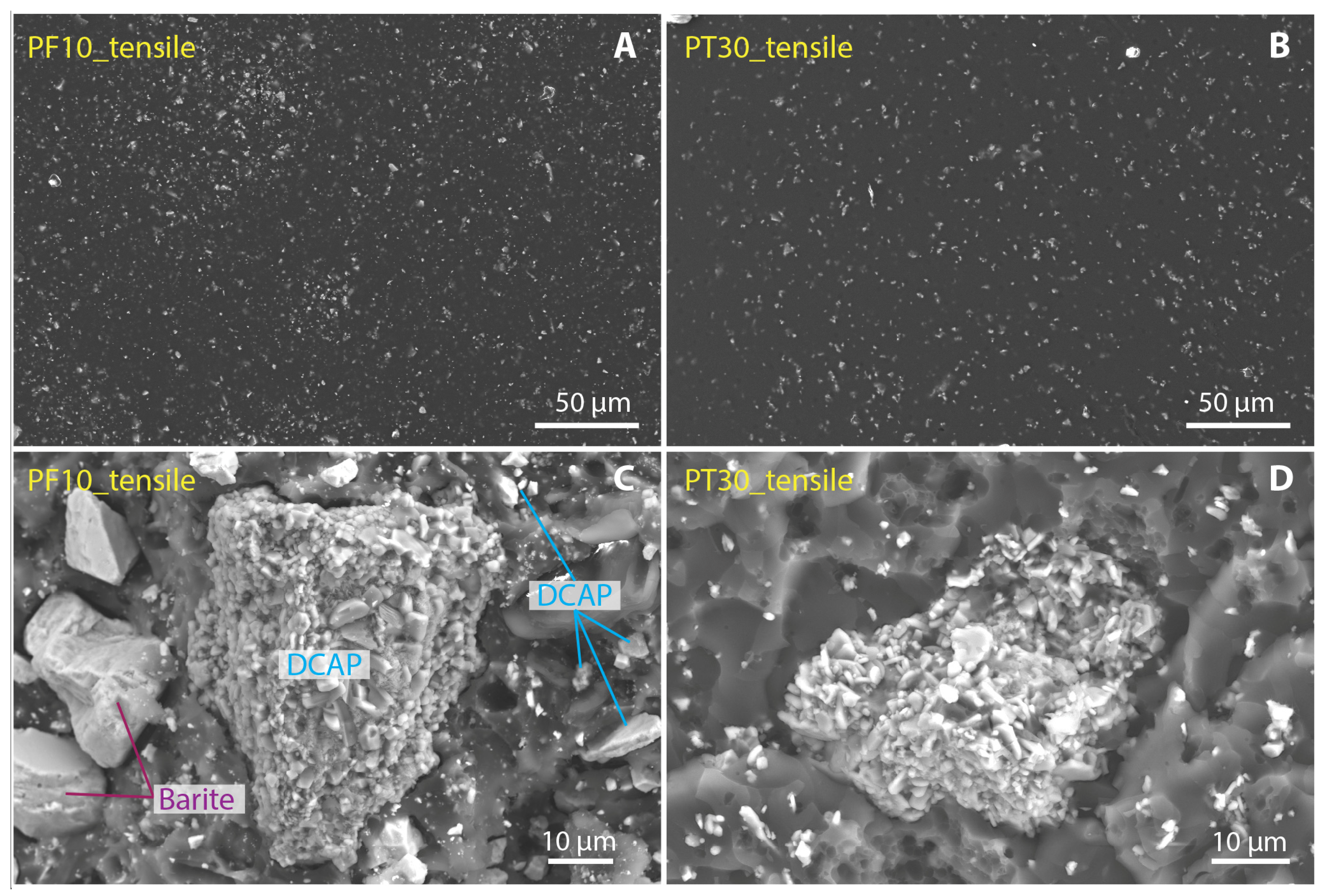 Polymers 15 01410 g006