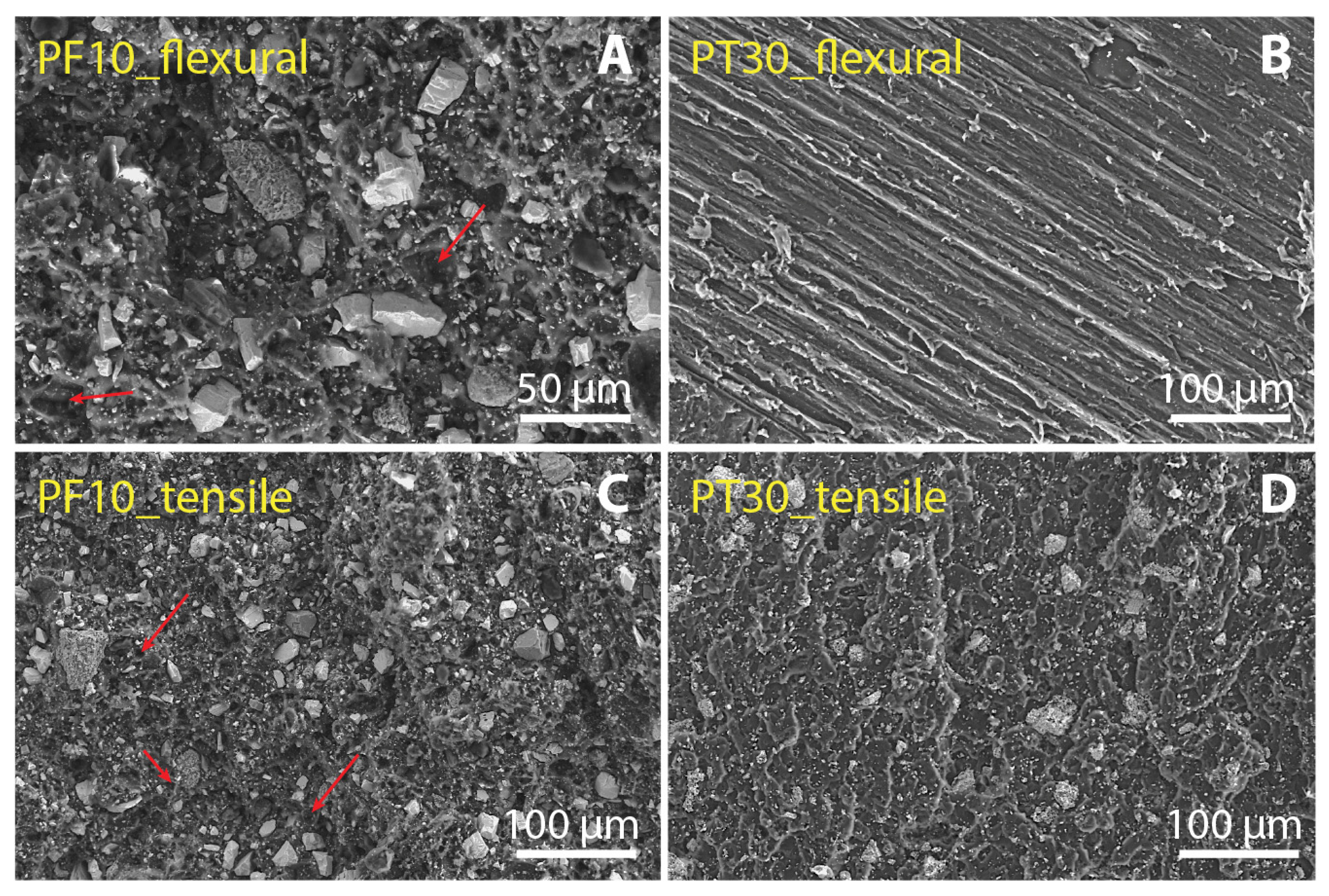 Polymers 15 01410 g008