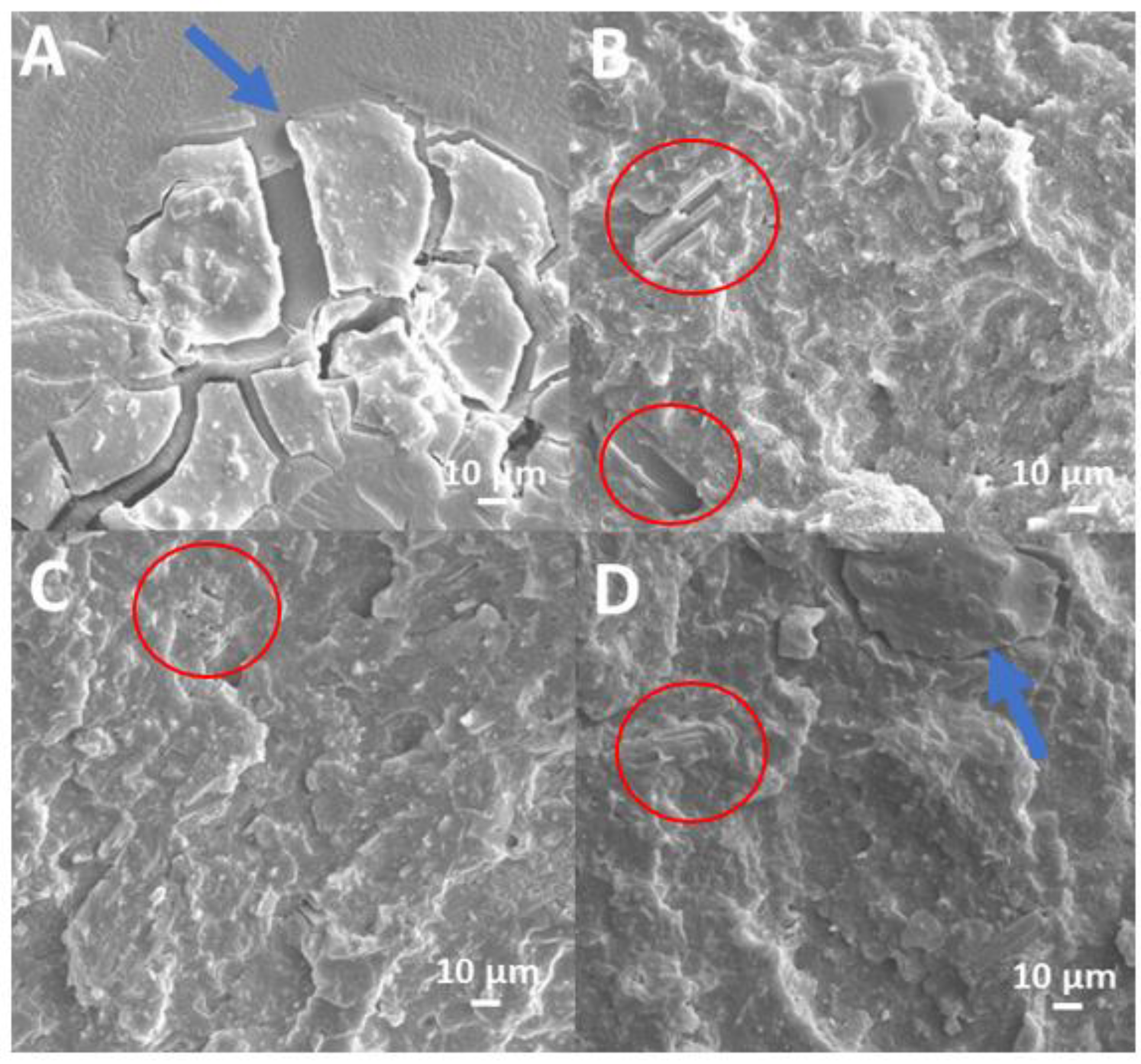 Polymers 15 01411 g003