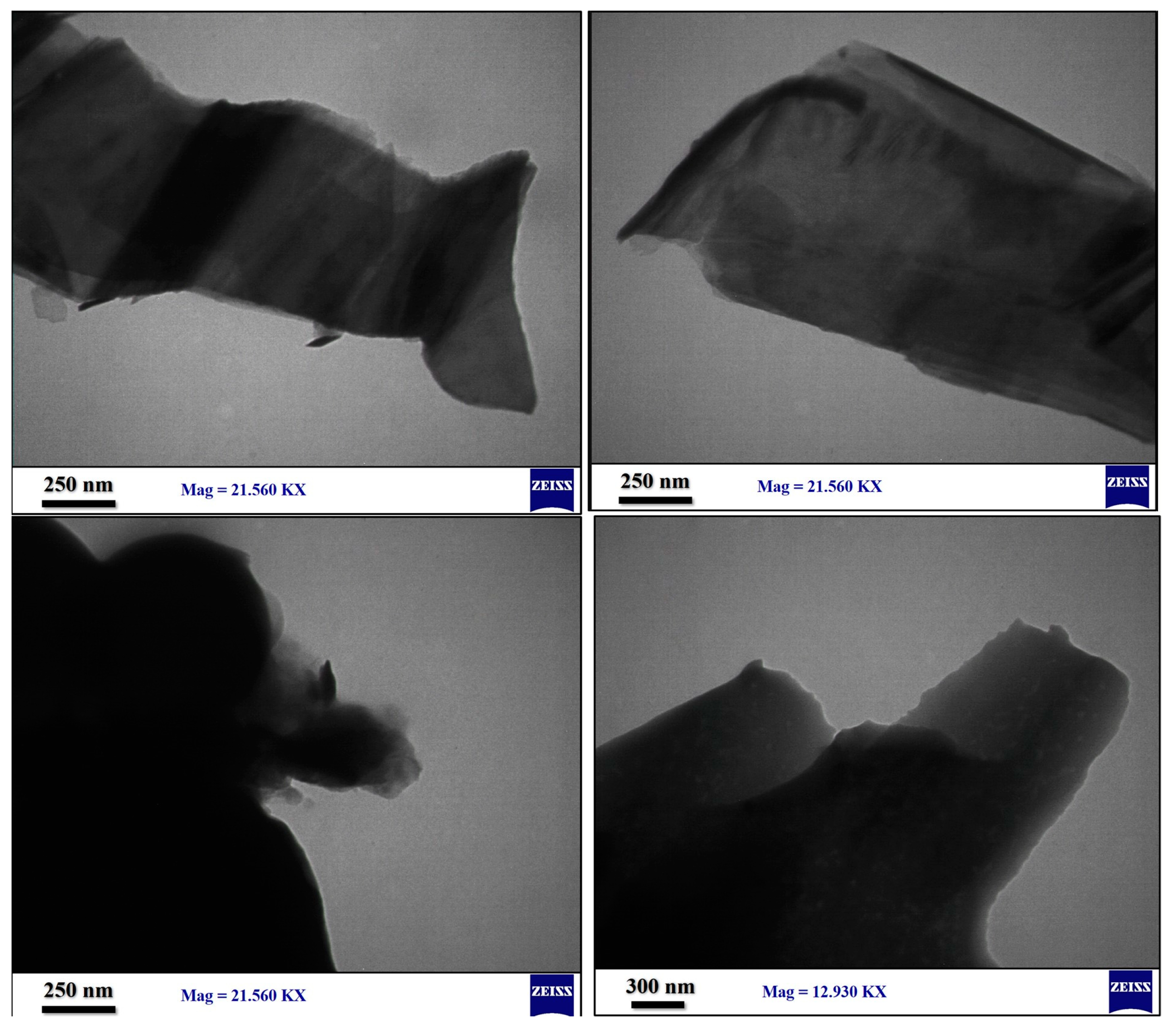 Polymers 15 01416 g006 Polymers 15 01416 g006