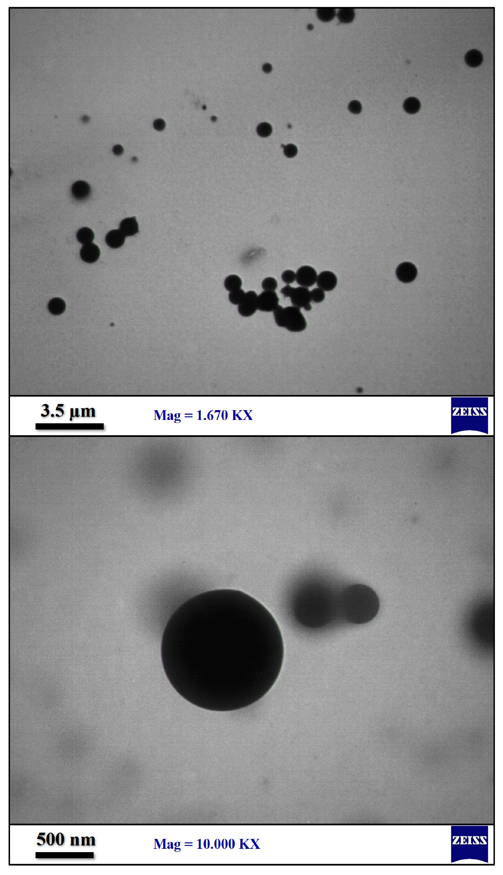 Polymers 15 01416 g007 Polymers 15 01416 g007