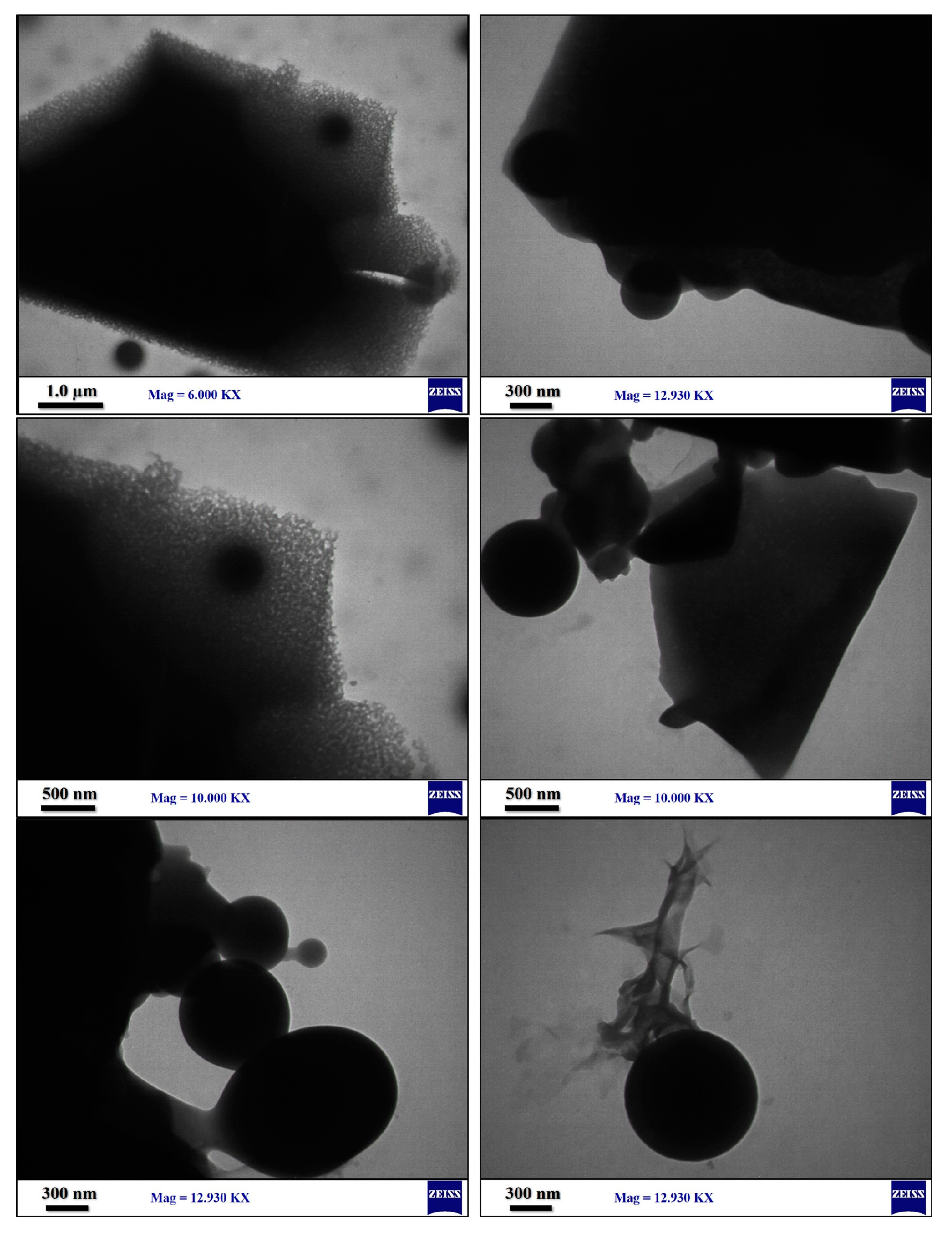 Polymers 15 01416 g008 Polymers 15 01416 g008