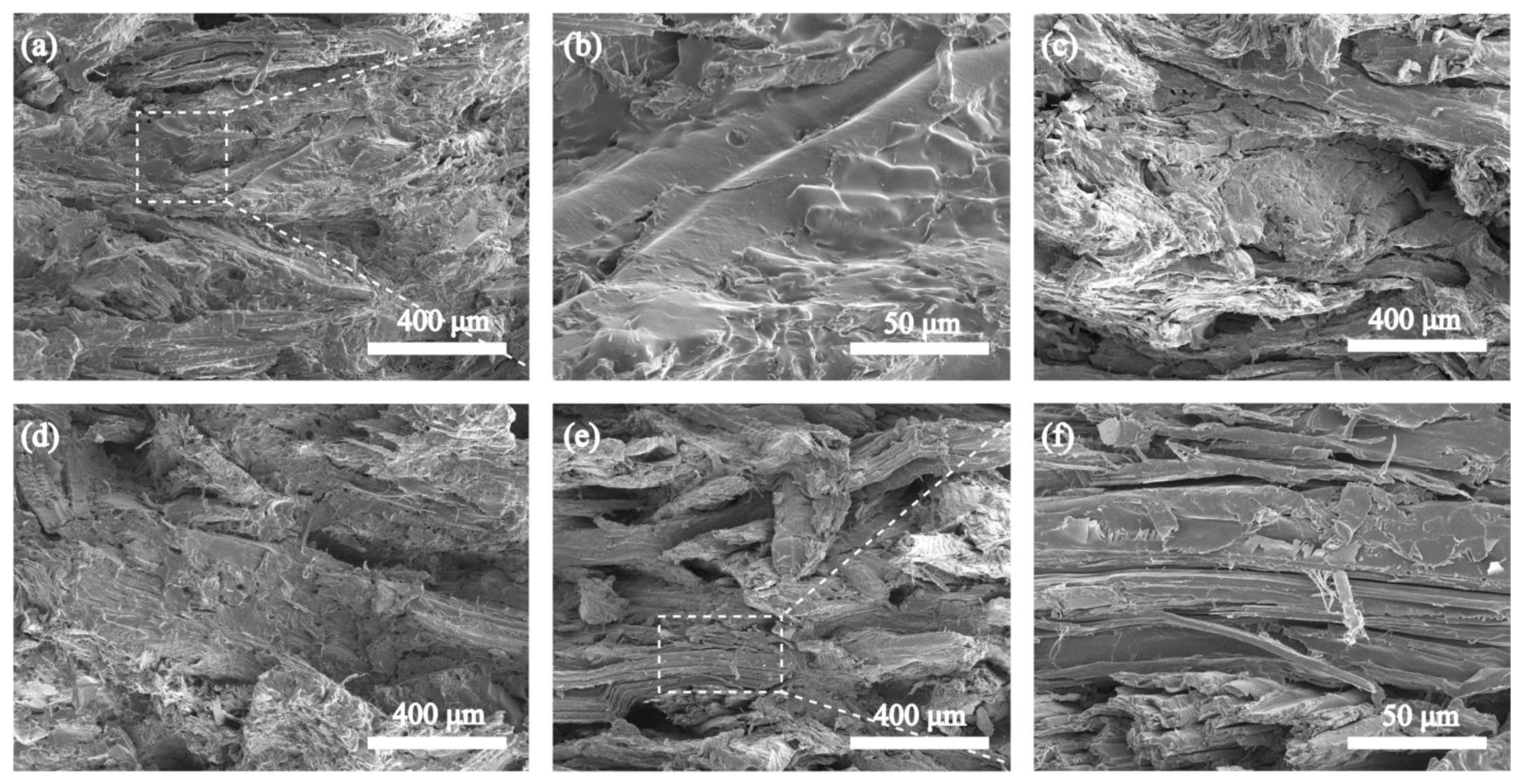 Polymers 15 01418 g006