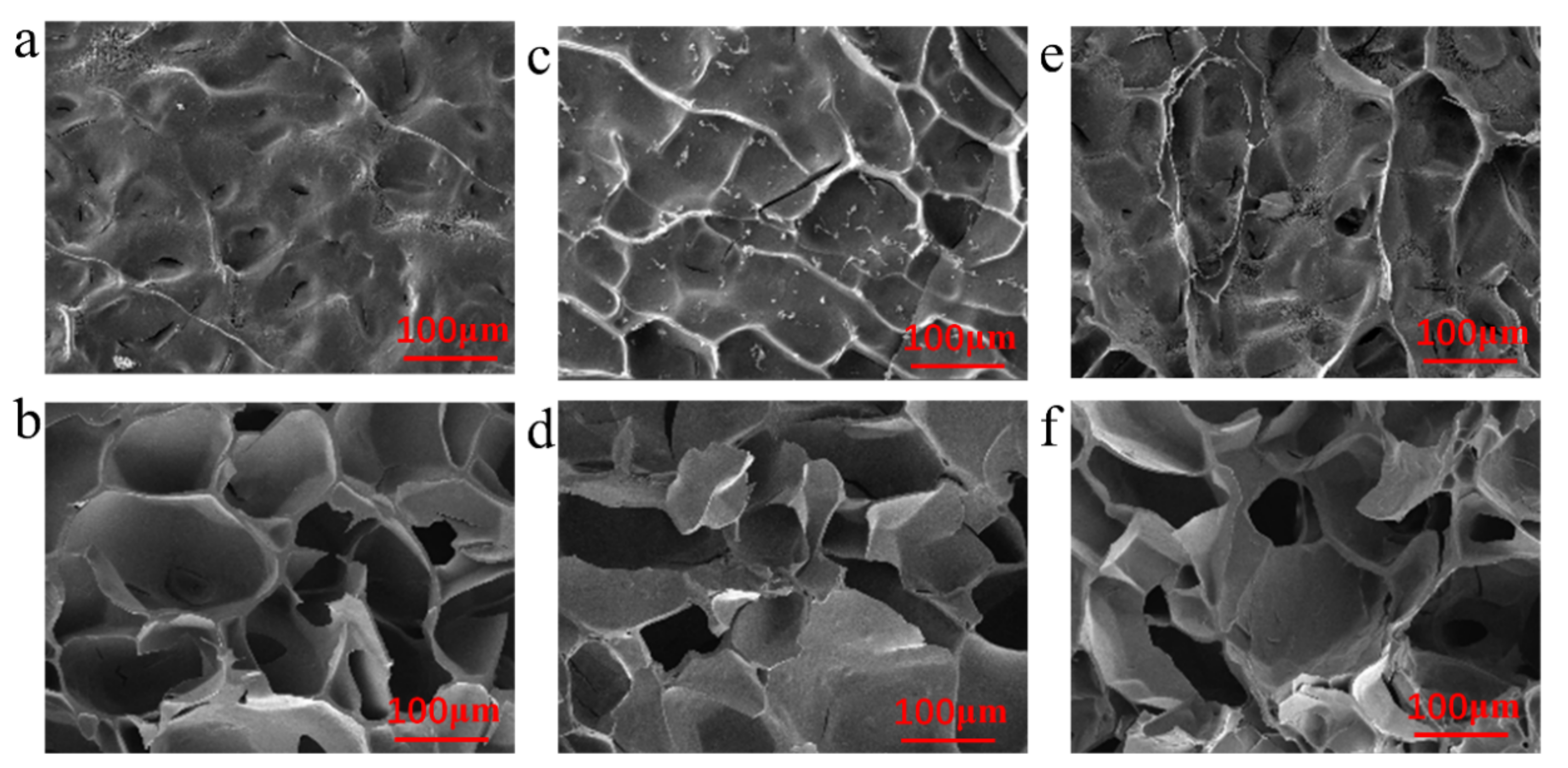 Polymers 15 01423 g002 Polymers 15 01423 g002