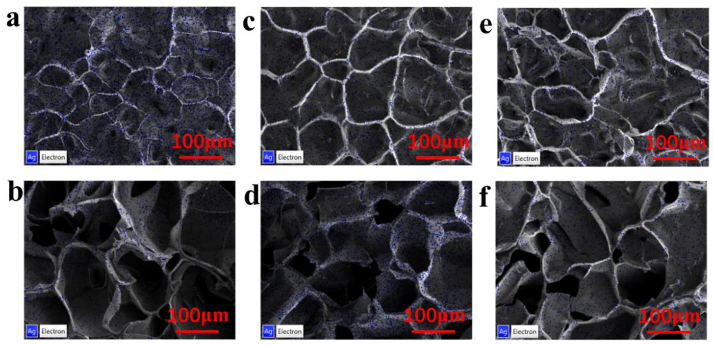 Polymers 15 01423 g003 Polymers 15 01423 g003