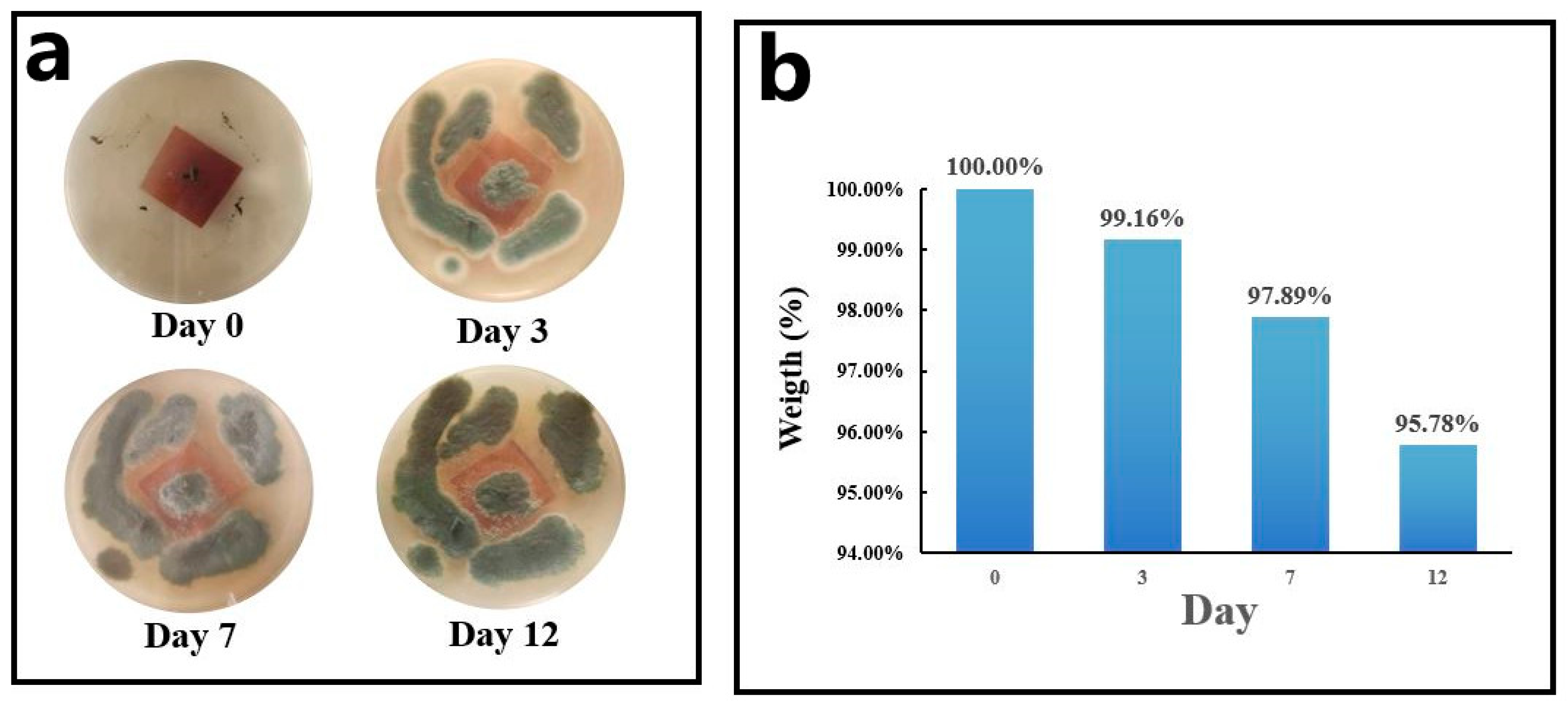 Polymers 15 01424 g008