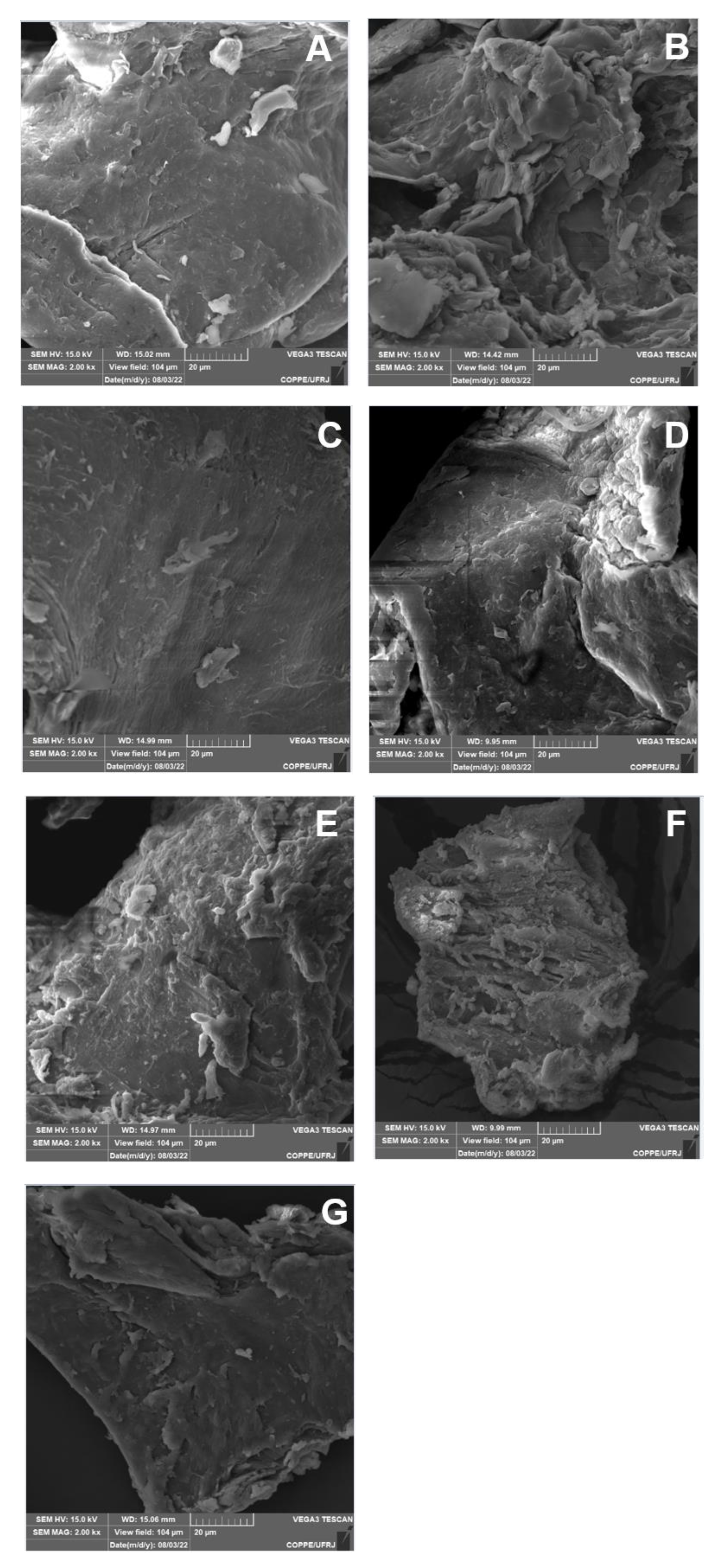 Polymers 15 01430 g009
