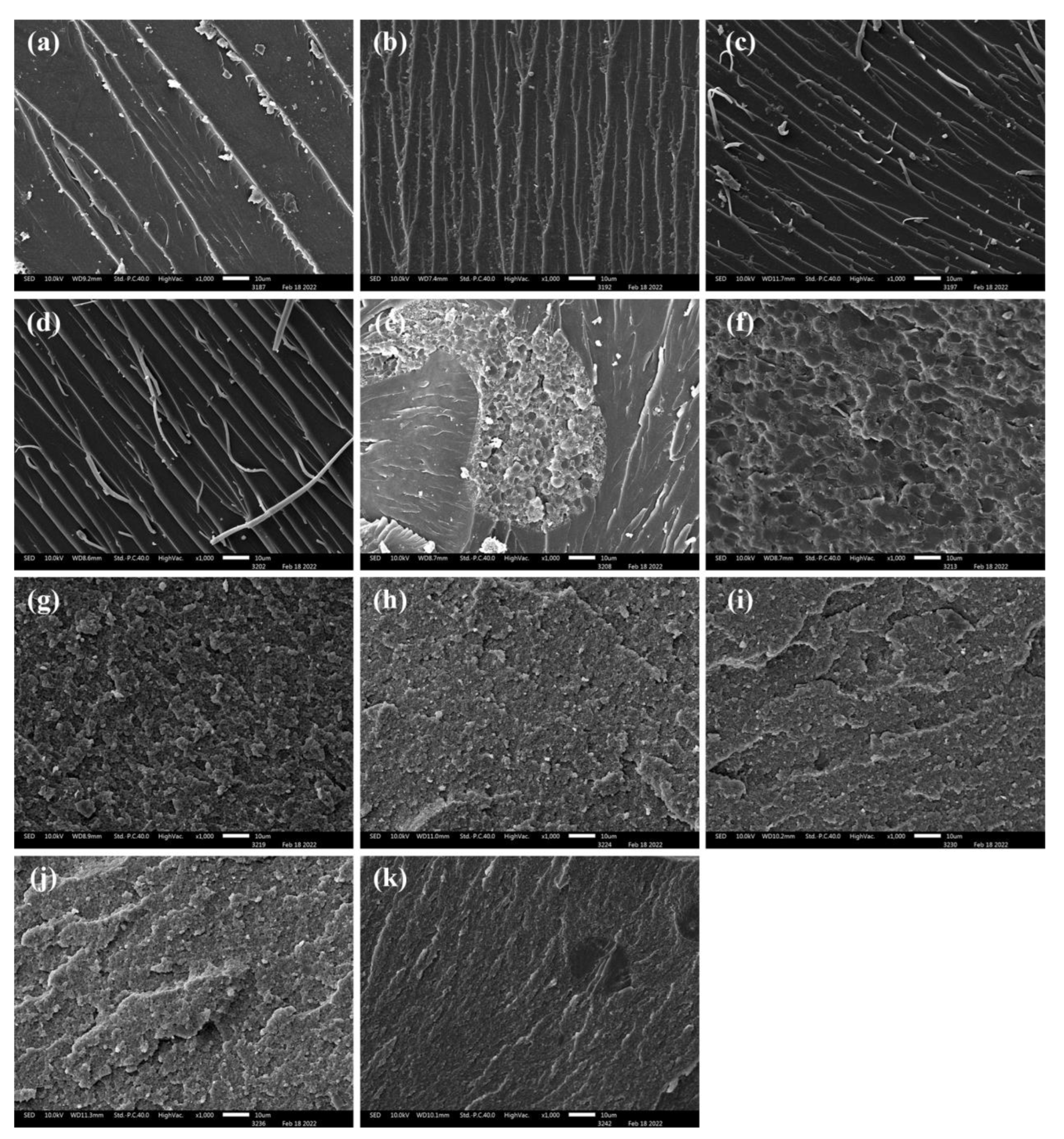 Polymers 15 01436 g006 Polymers 15 01436 g006