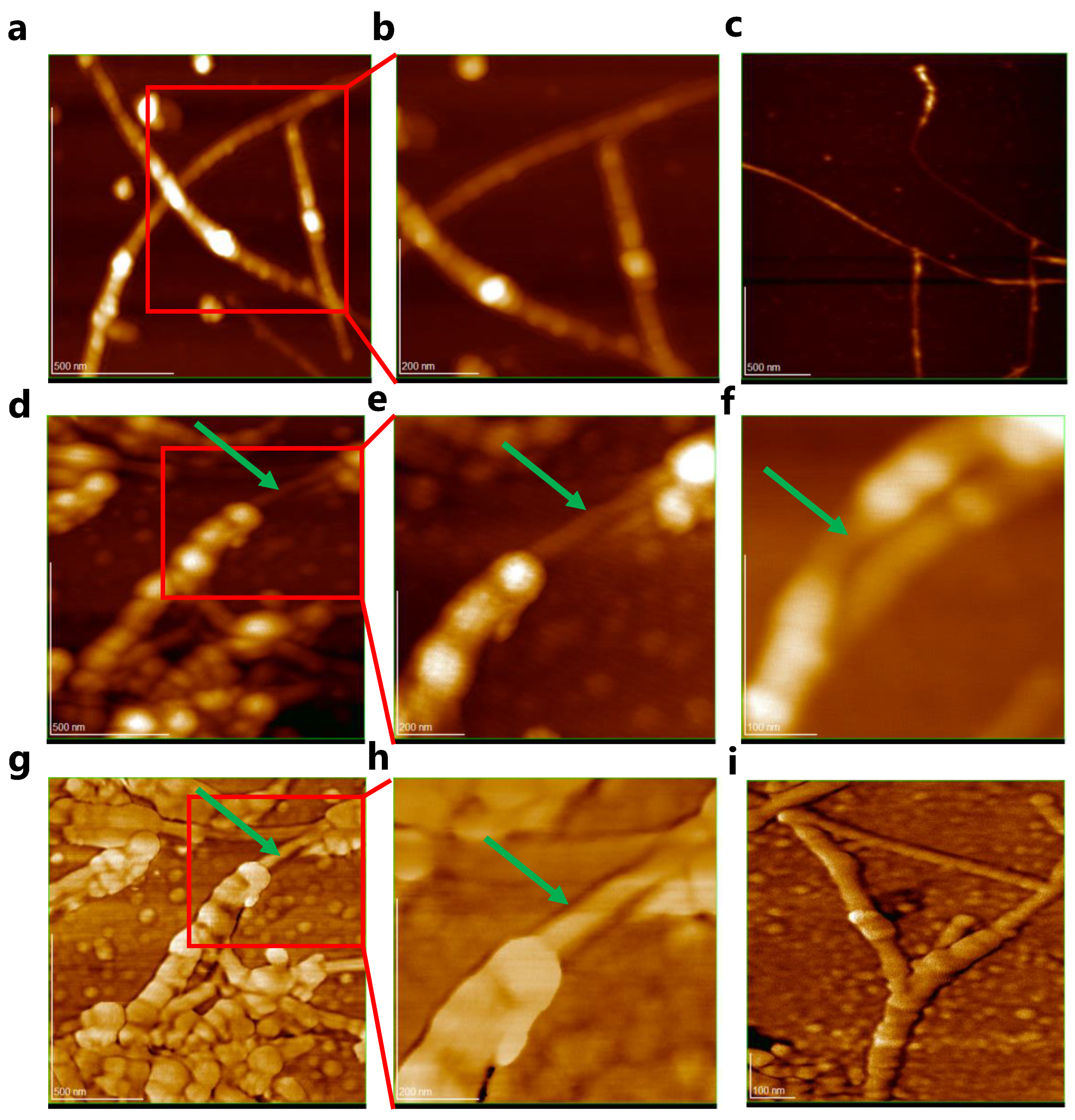 Polymers 15 01439 g005 Polymers 15 01439 g005