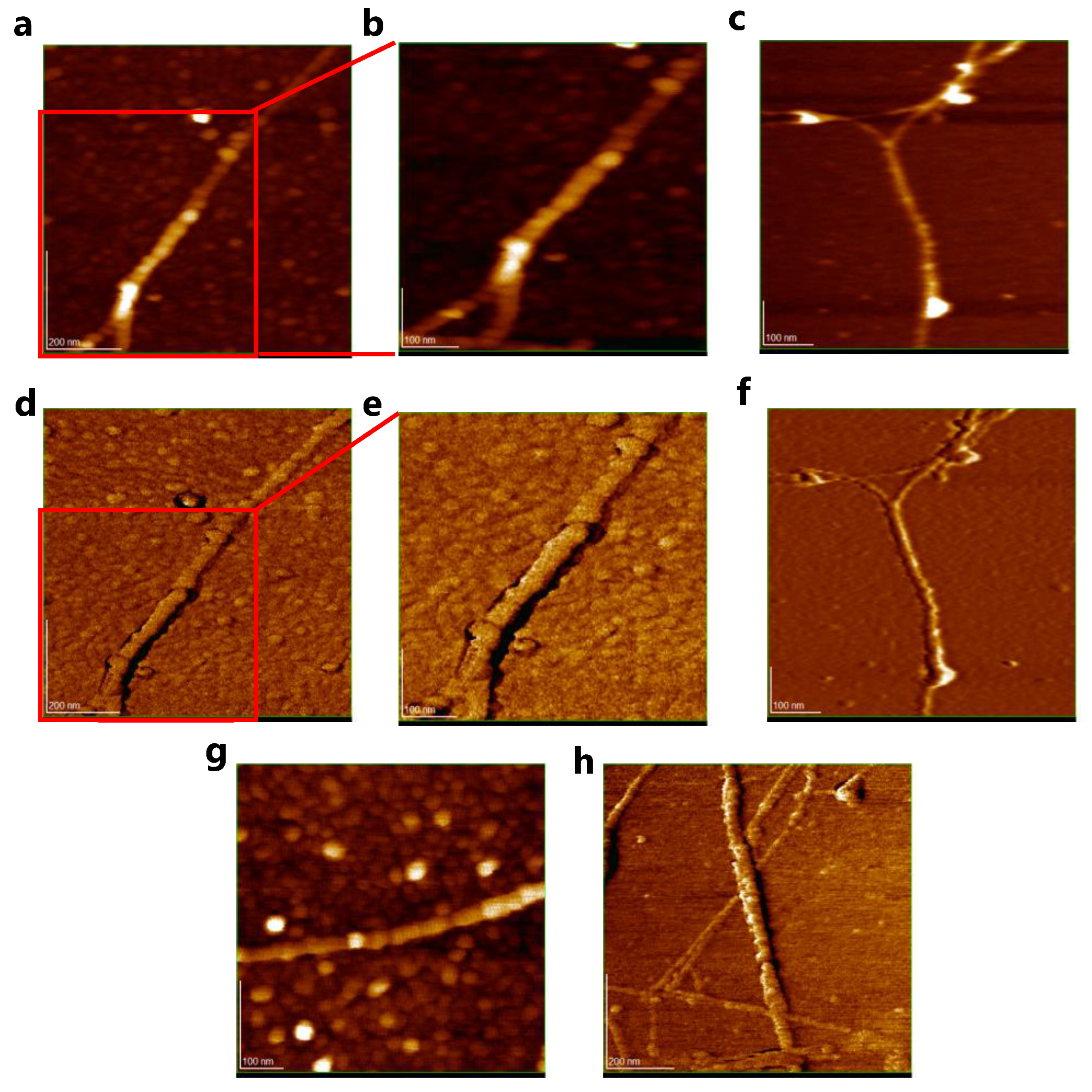 Polymers 15 01439 g006 Polymers 15 01439 g006