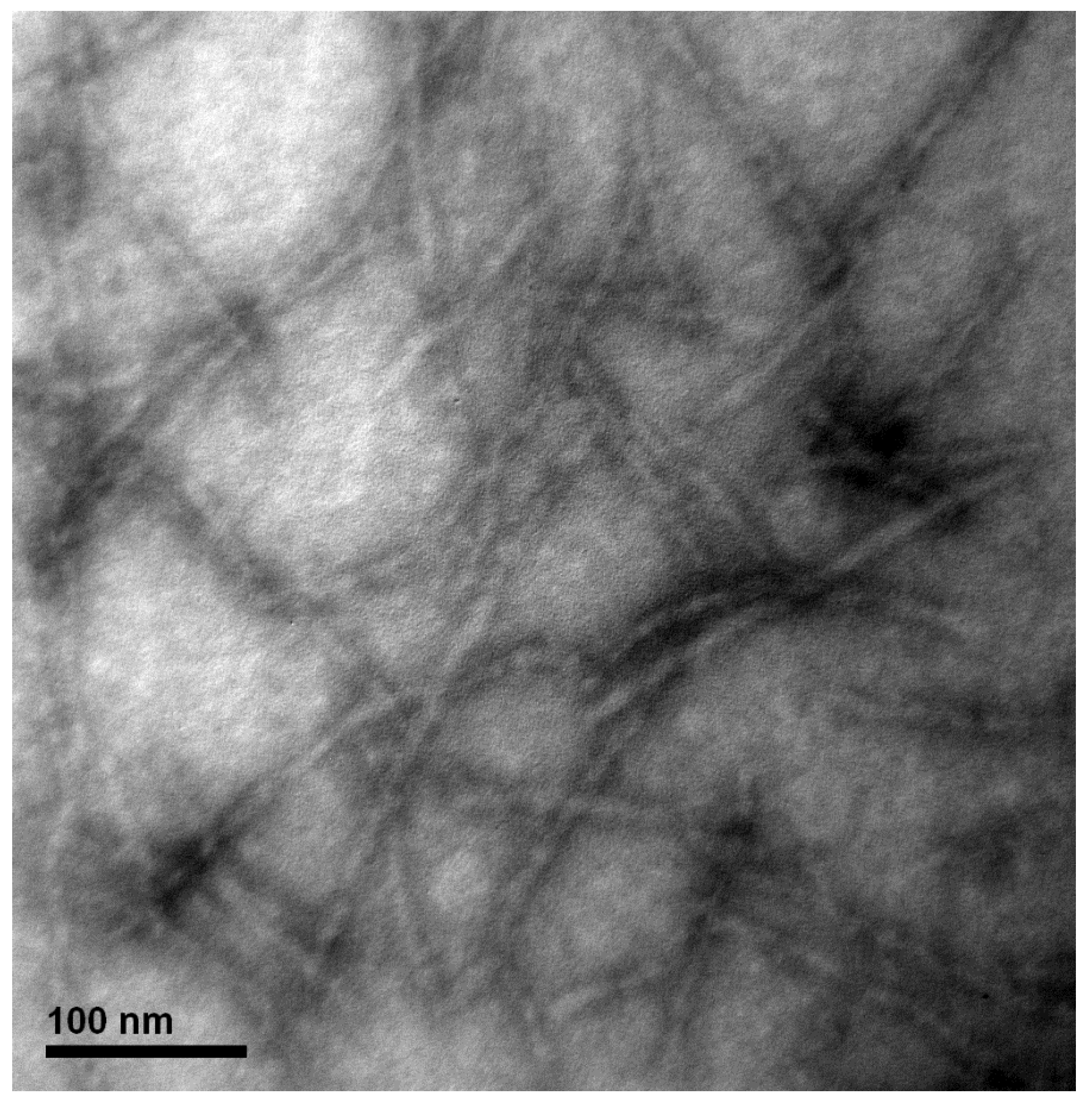 Polymers 15 01444 g002